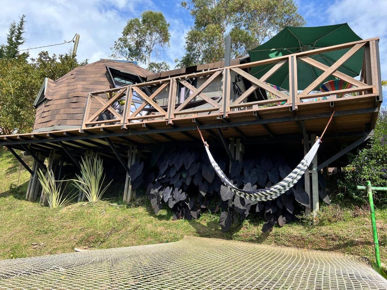 DOMO GLAMPING photo 2