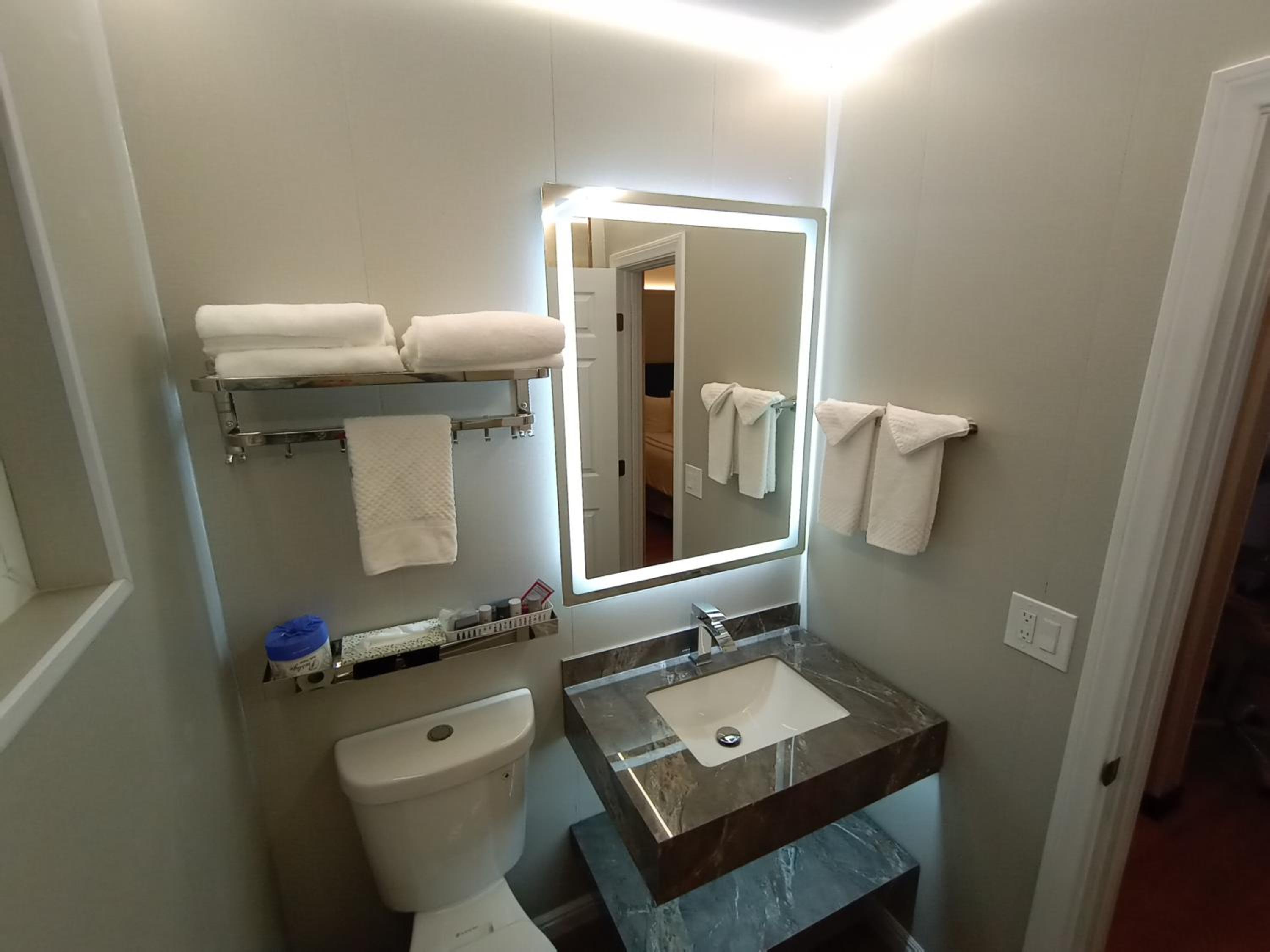 Deluxe King Room - Photo 10