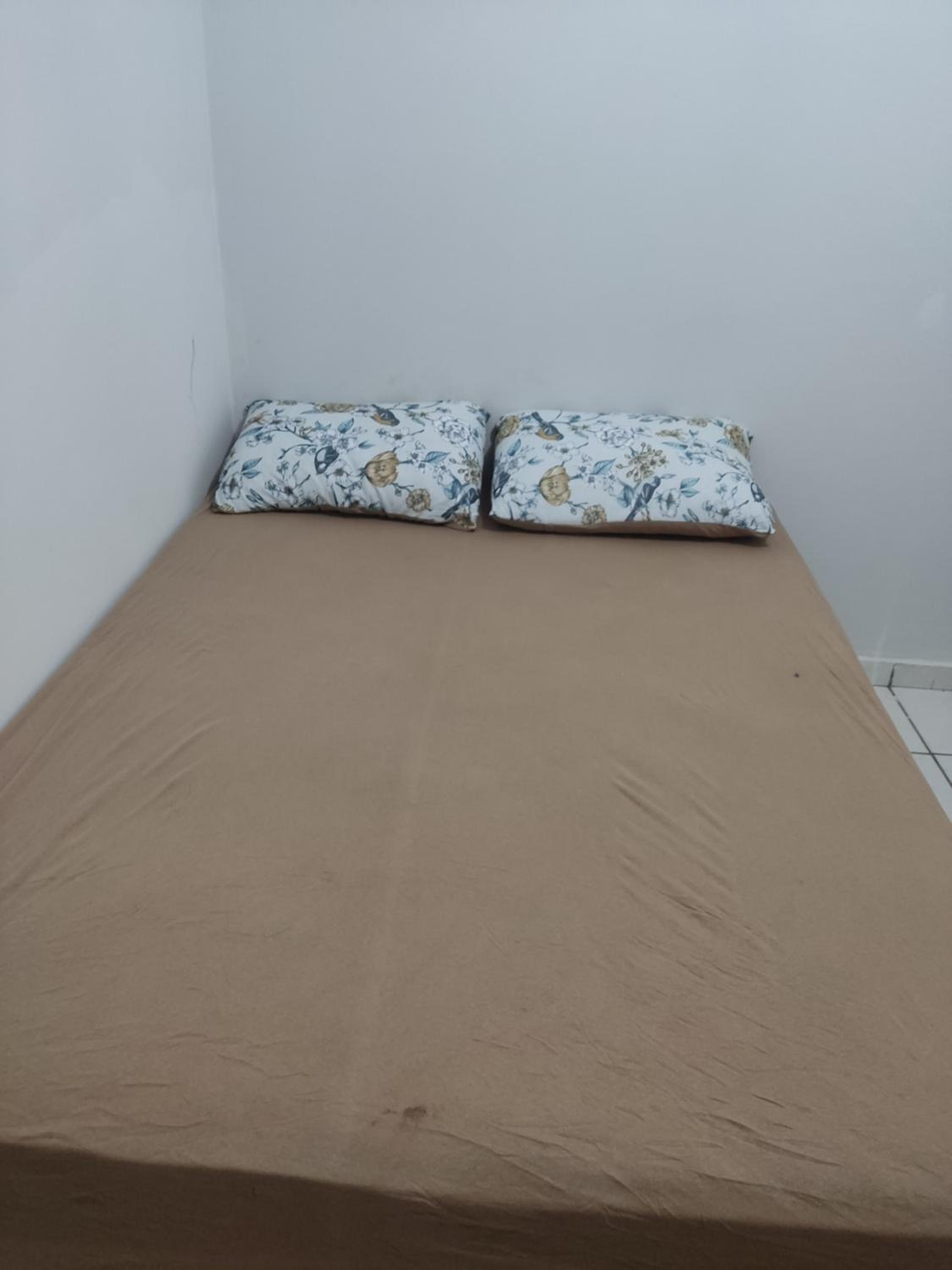Single Bed in Dormitory Room photo 2