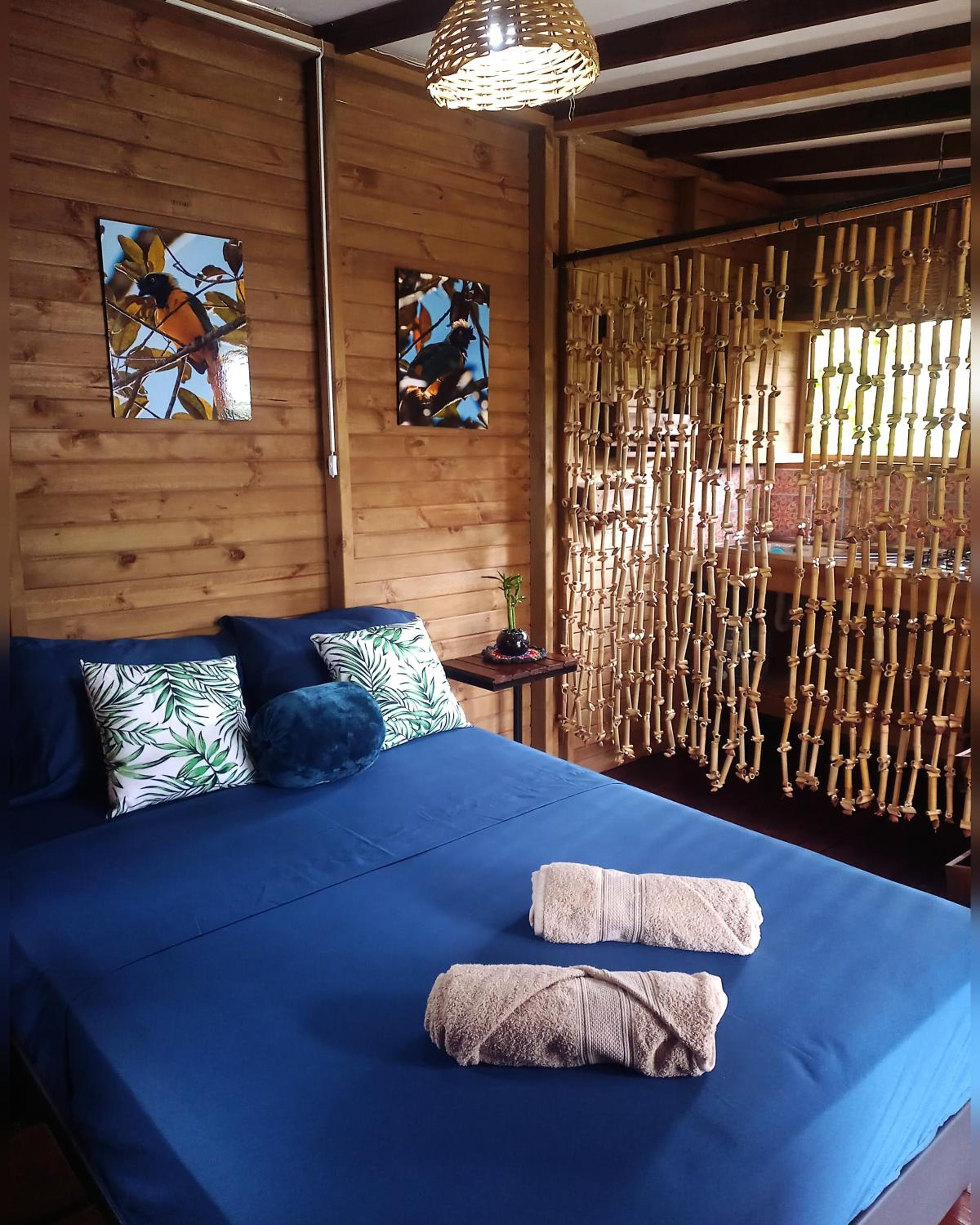 One-Bedroom House photo 1