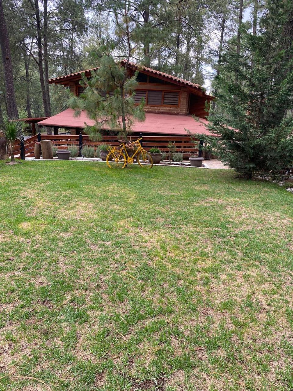 One-Bedroom Chalet photo 2