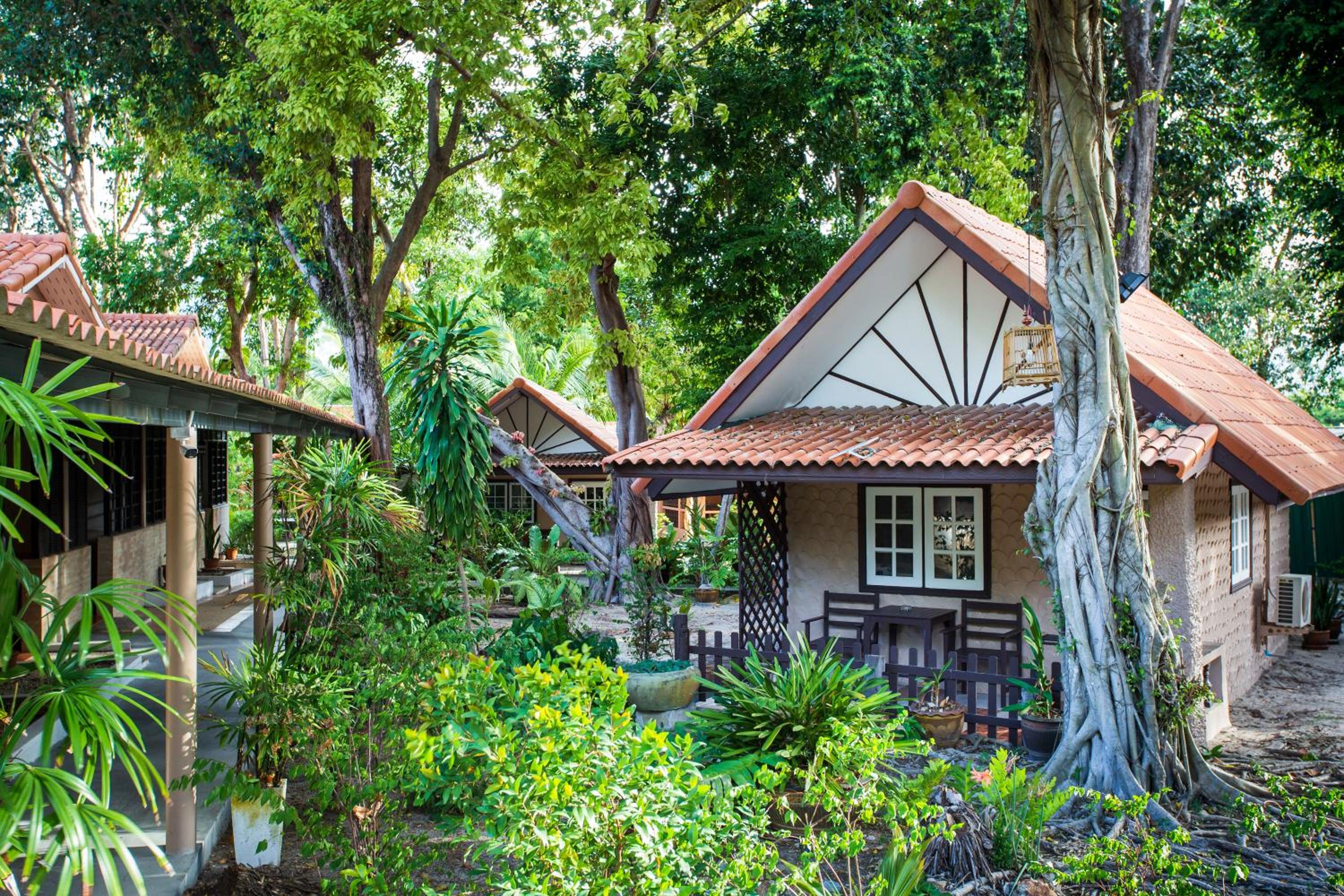 Standard Bungalow photo 2
