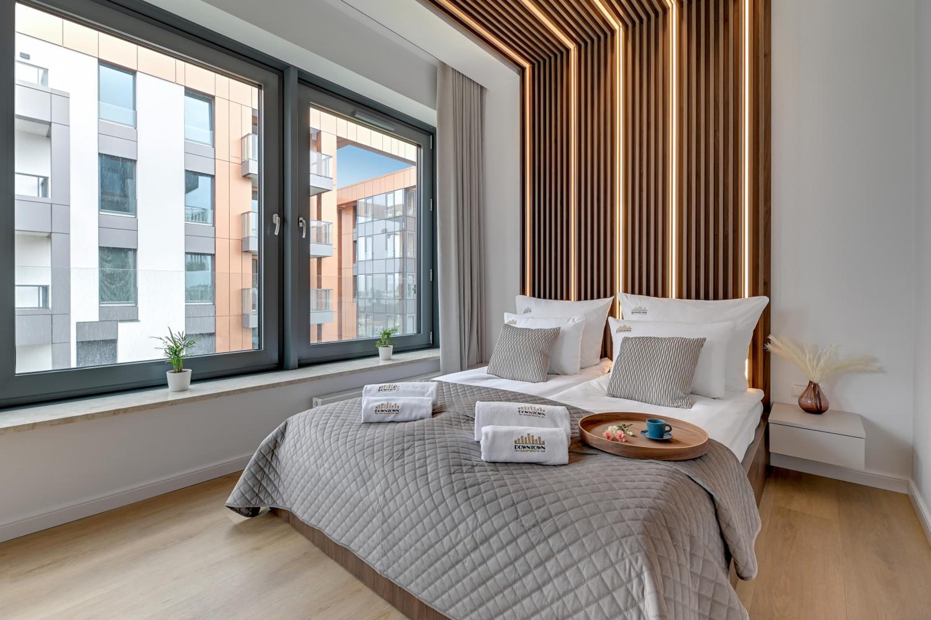 Deluxe One-Bedroom Apartment