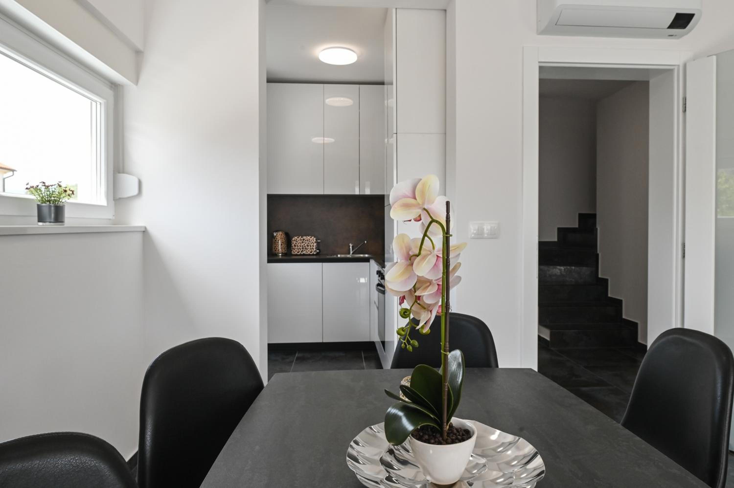 Duplex Apartment photo 2