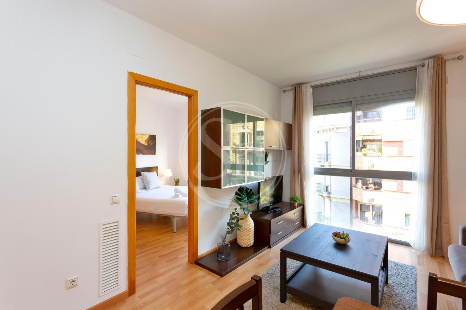 One-Bedroom Apartment photo 3