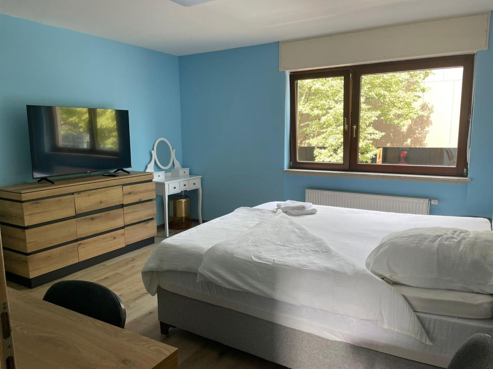 Deluxe Double or Twin Room photo 1