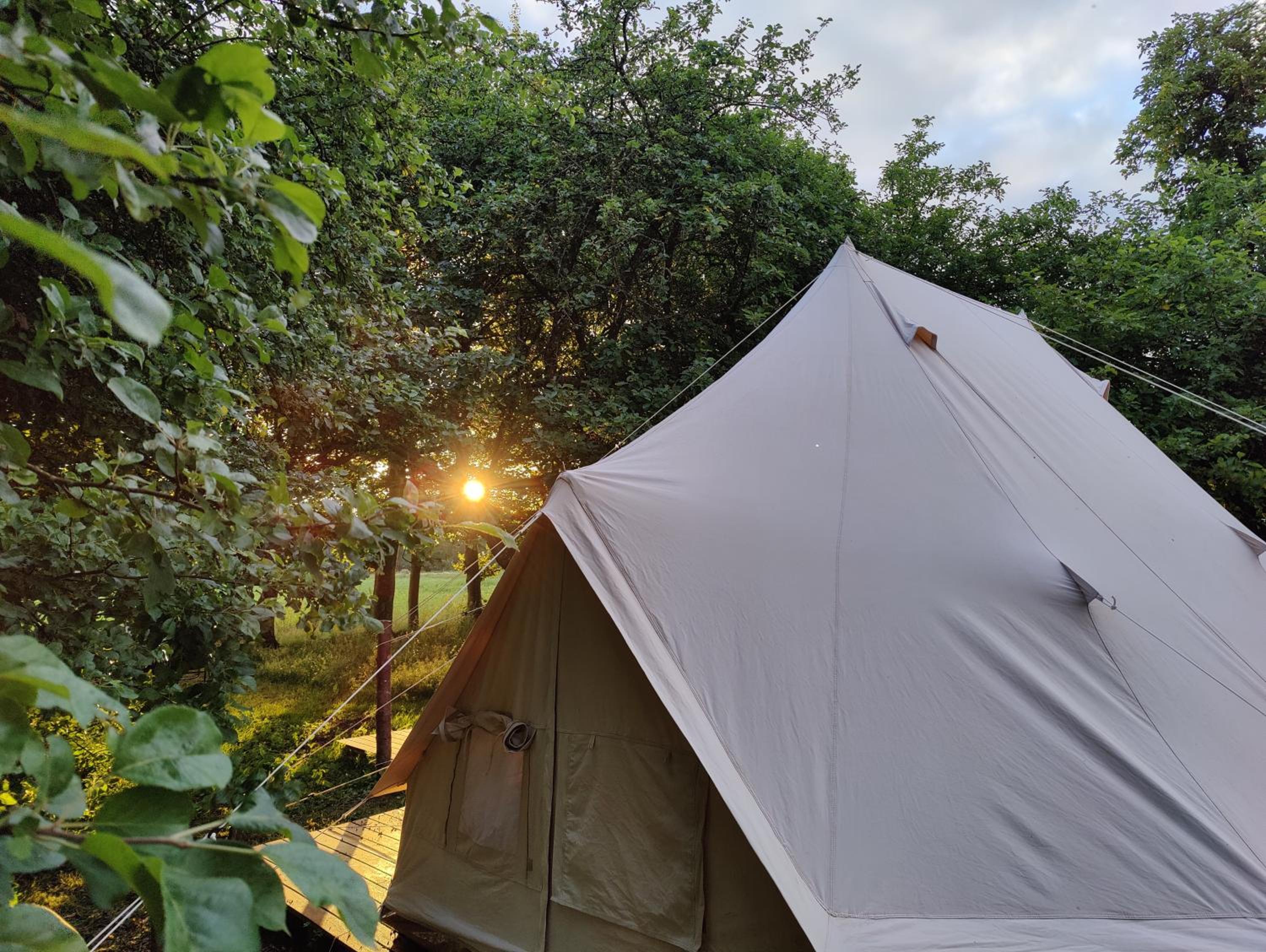 Luxury Tent Spætten photo 3
