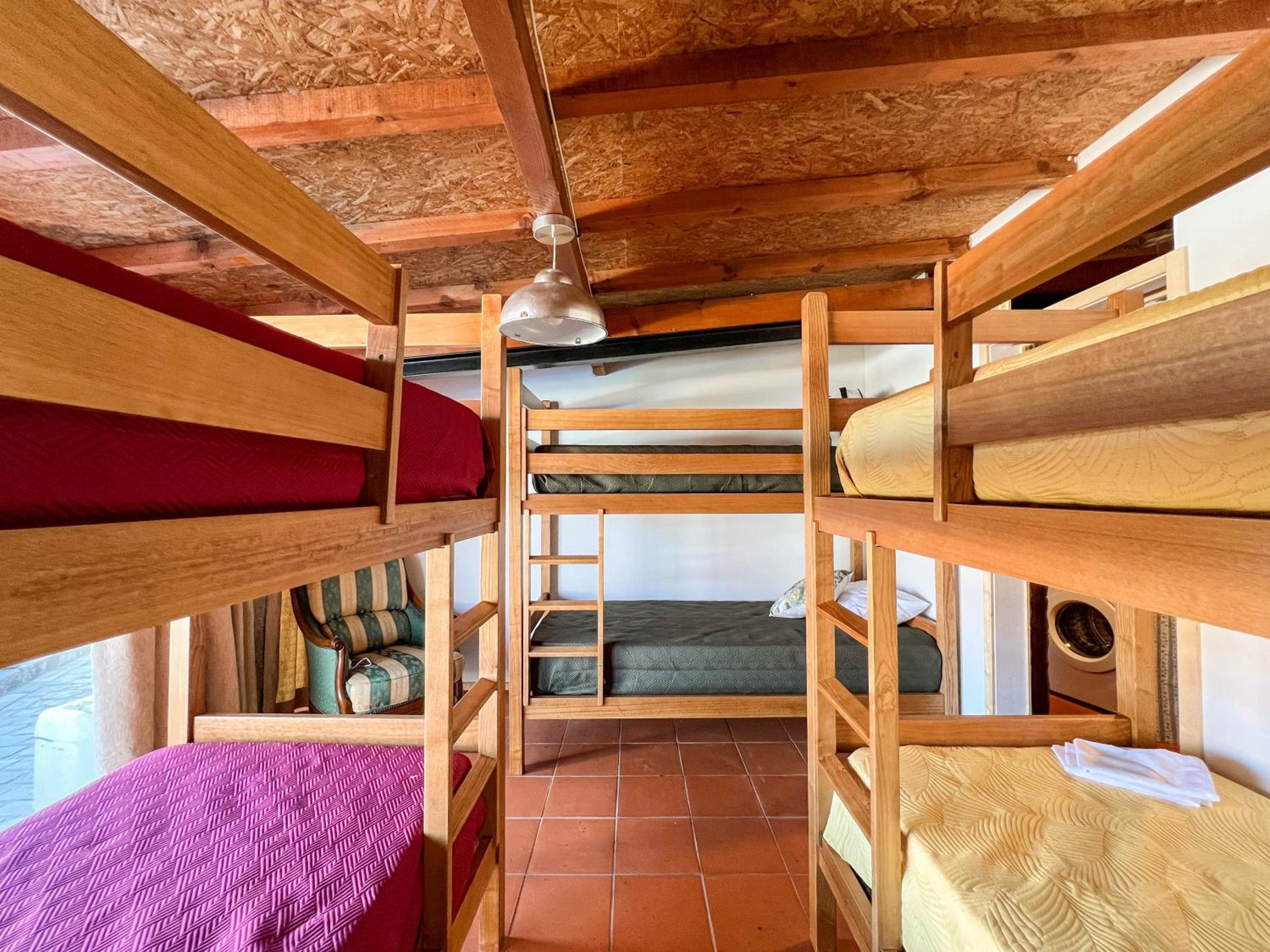 Bunk Bed in Mixed Dormitory Room photo 1