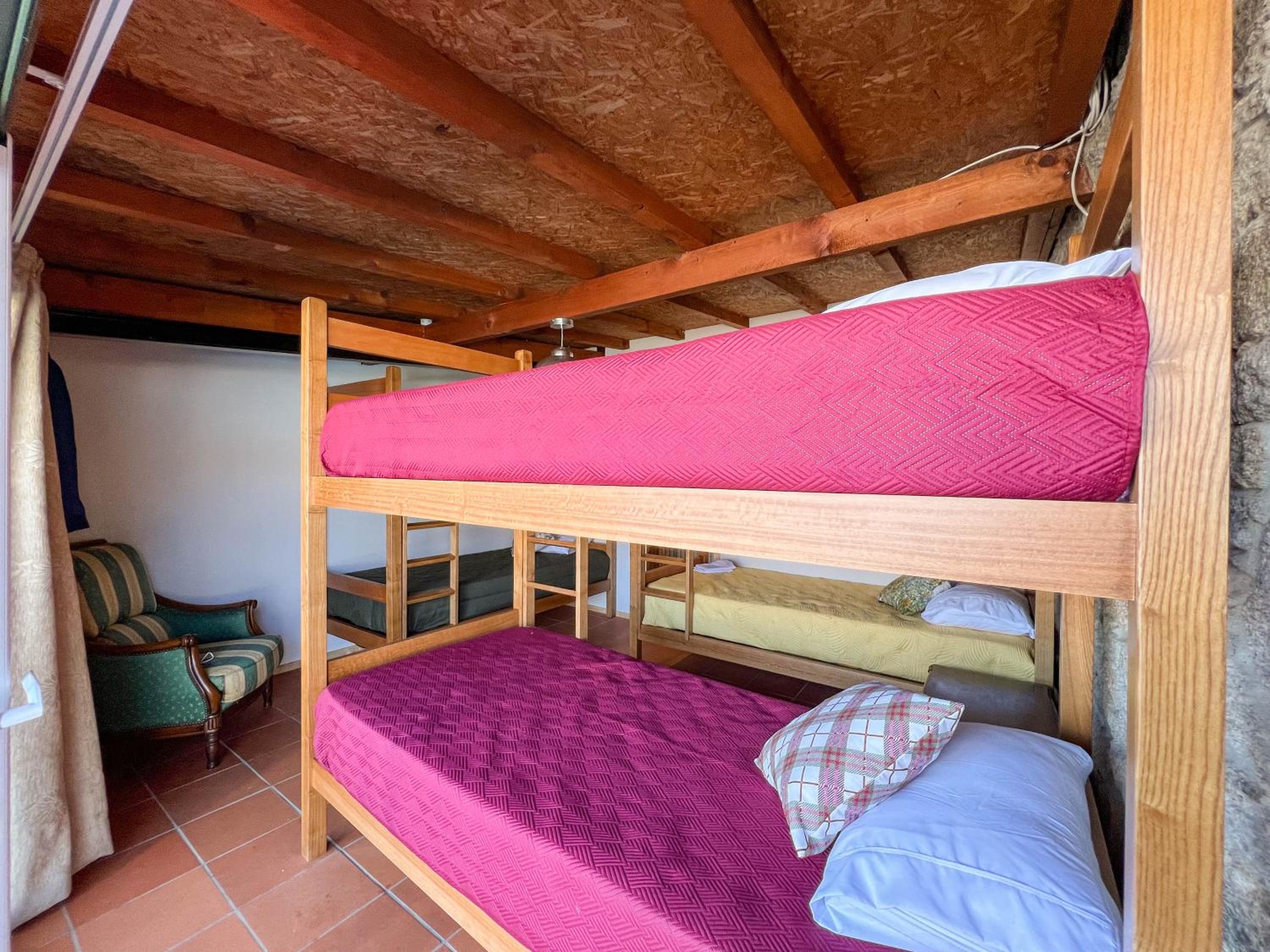 Bunk Bed in Mixed Dormitory Room photo 3