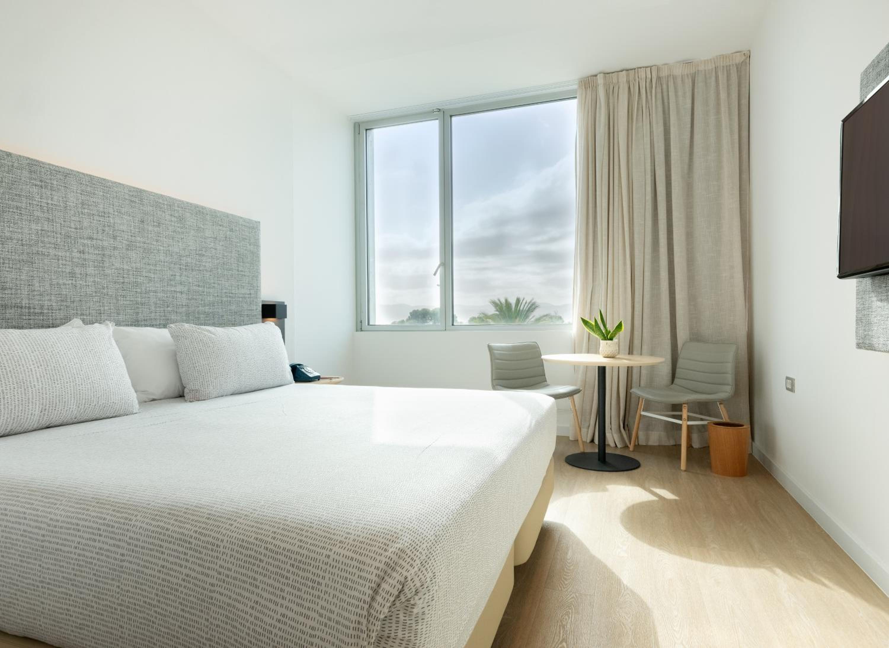 The Studio King Bed