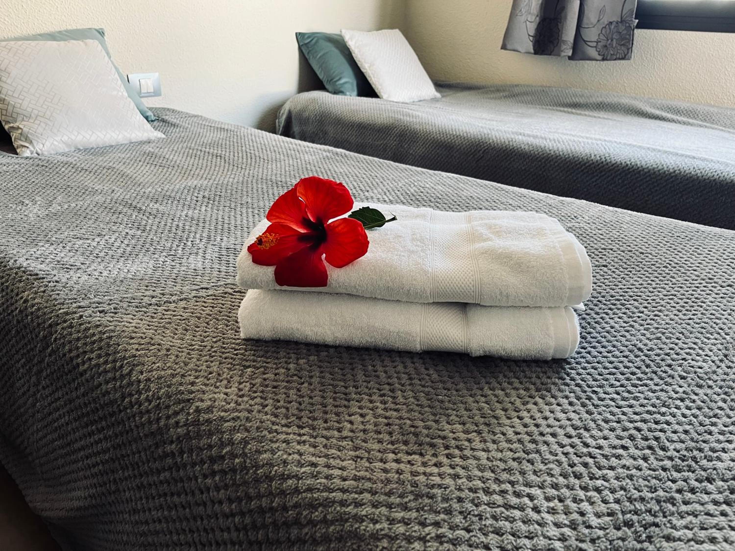 Apartamento - con niveles divididos