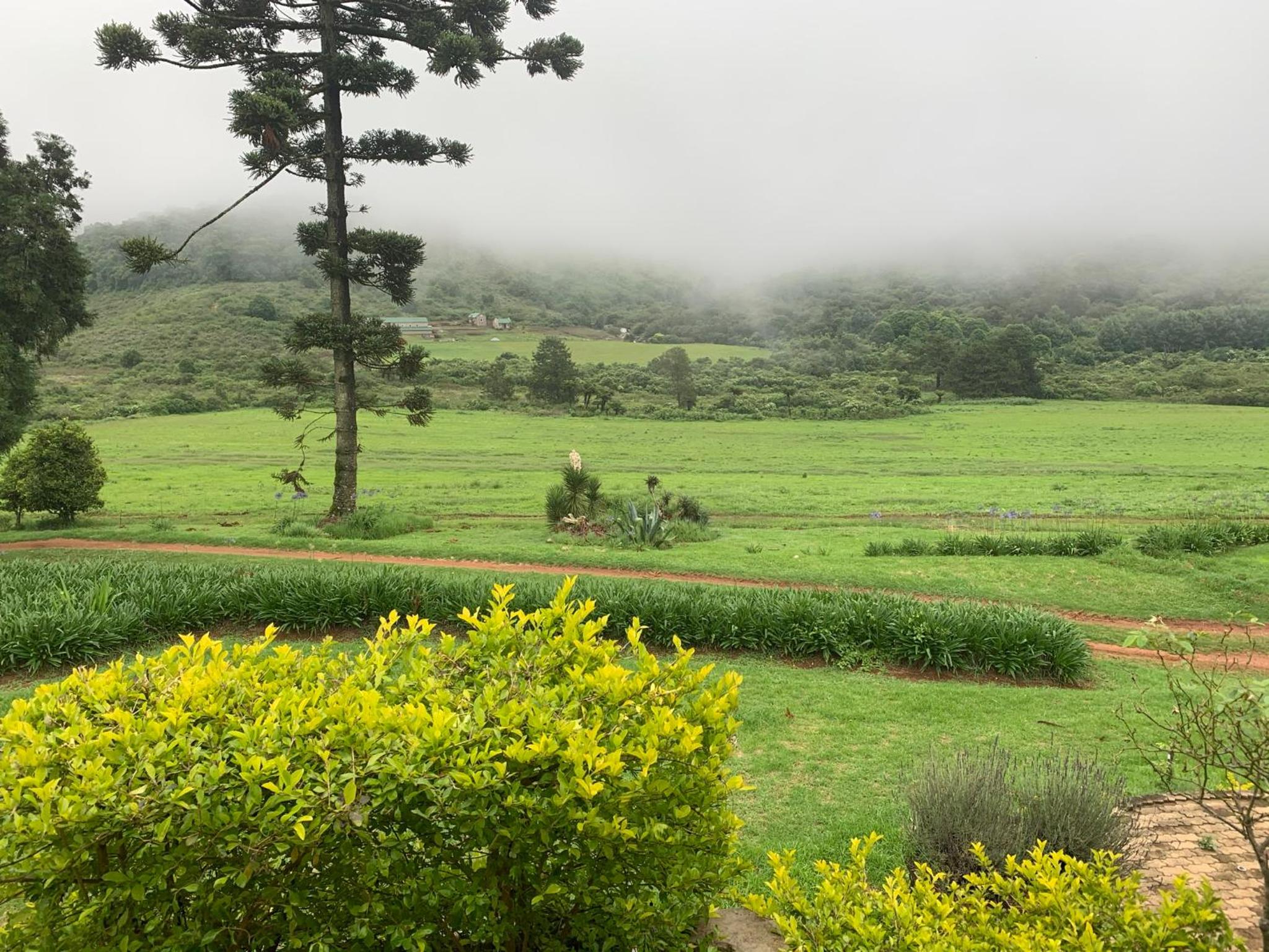 Vacation Home - Photo 16