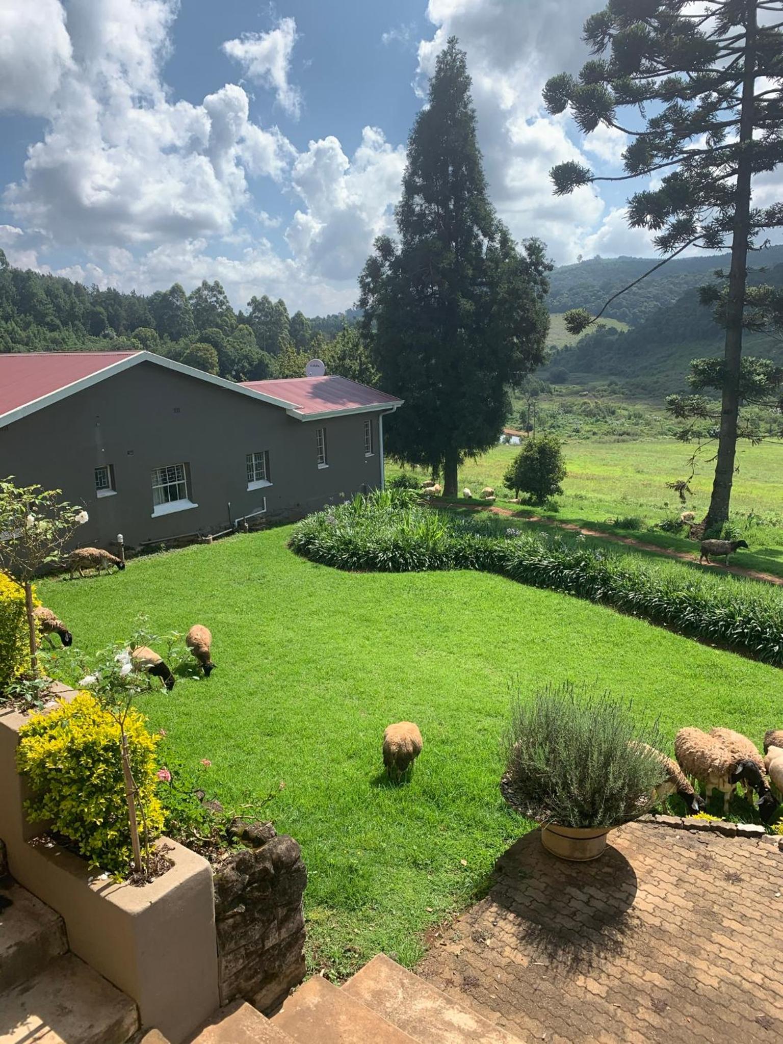 Vacation Home - Photo 17
