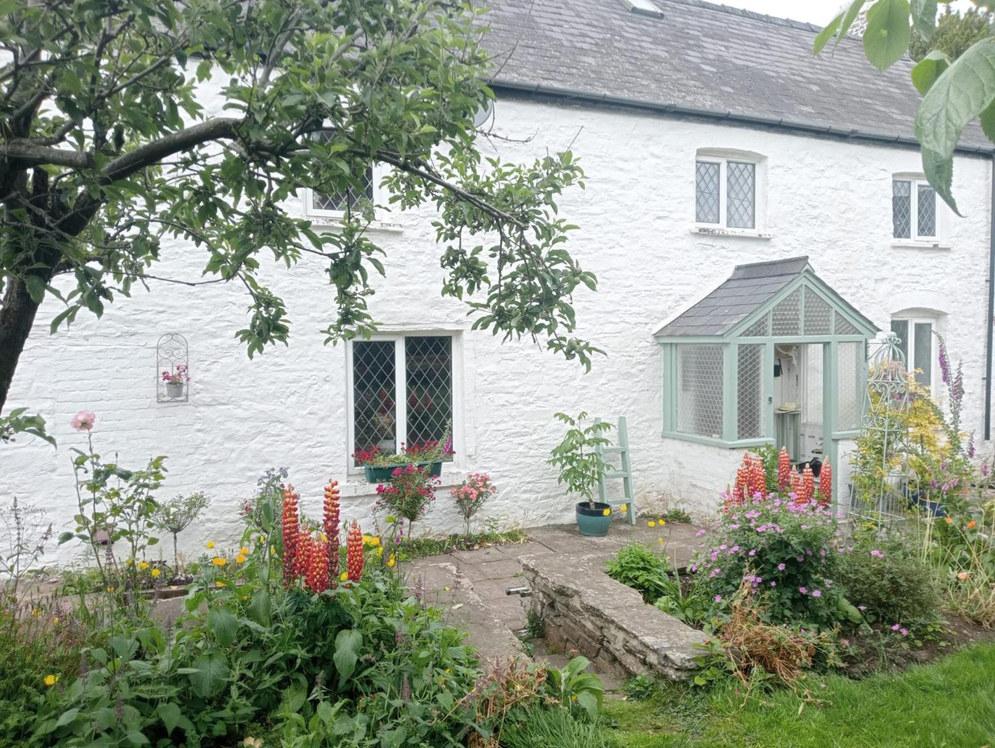 Three-Bedroom House photo 2