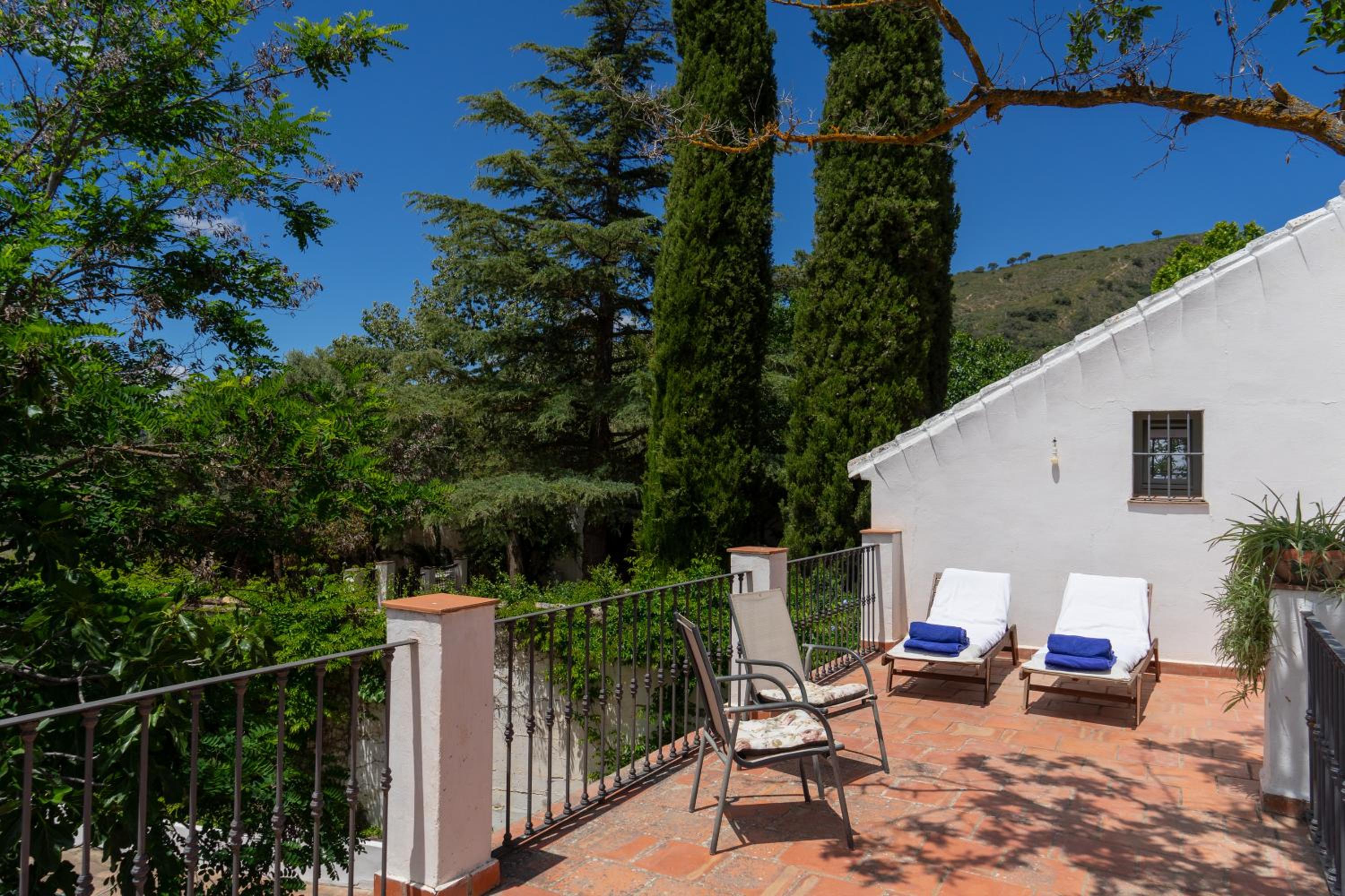 Junior Suite with Terrace - Photo 11
