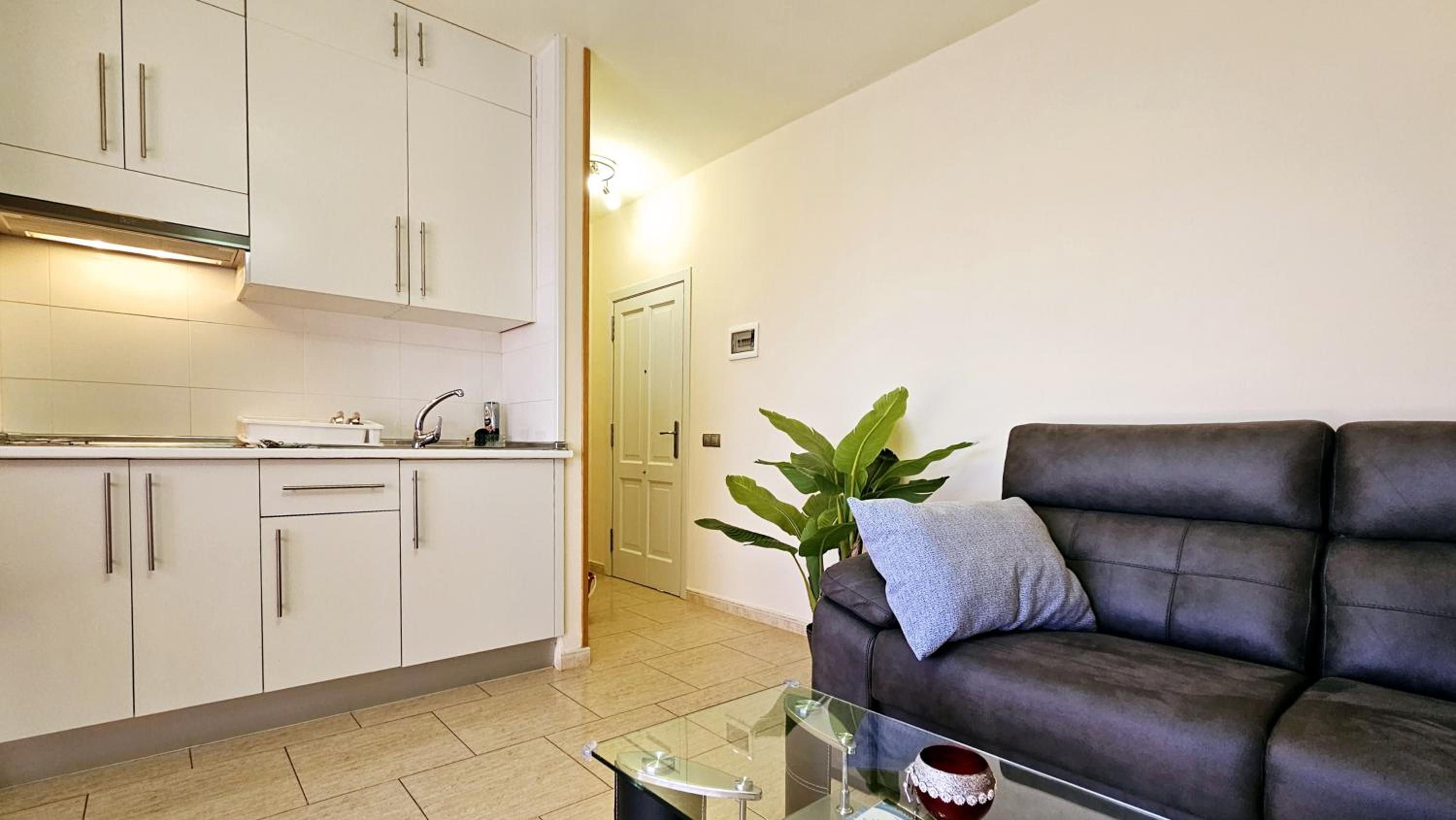 One-Bedroom Apartment photo 3