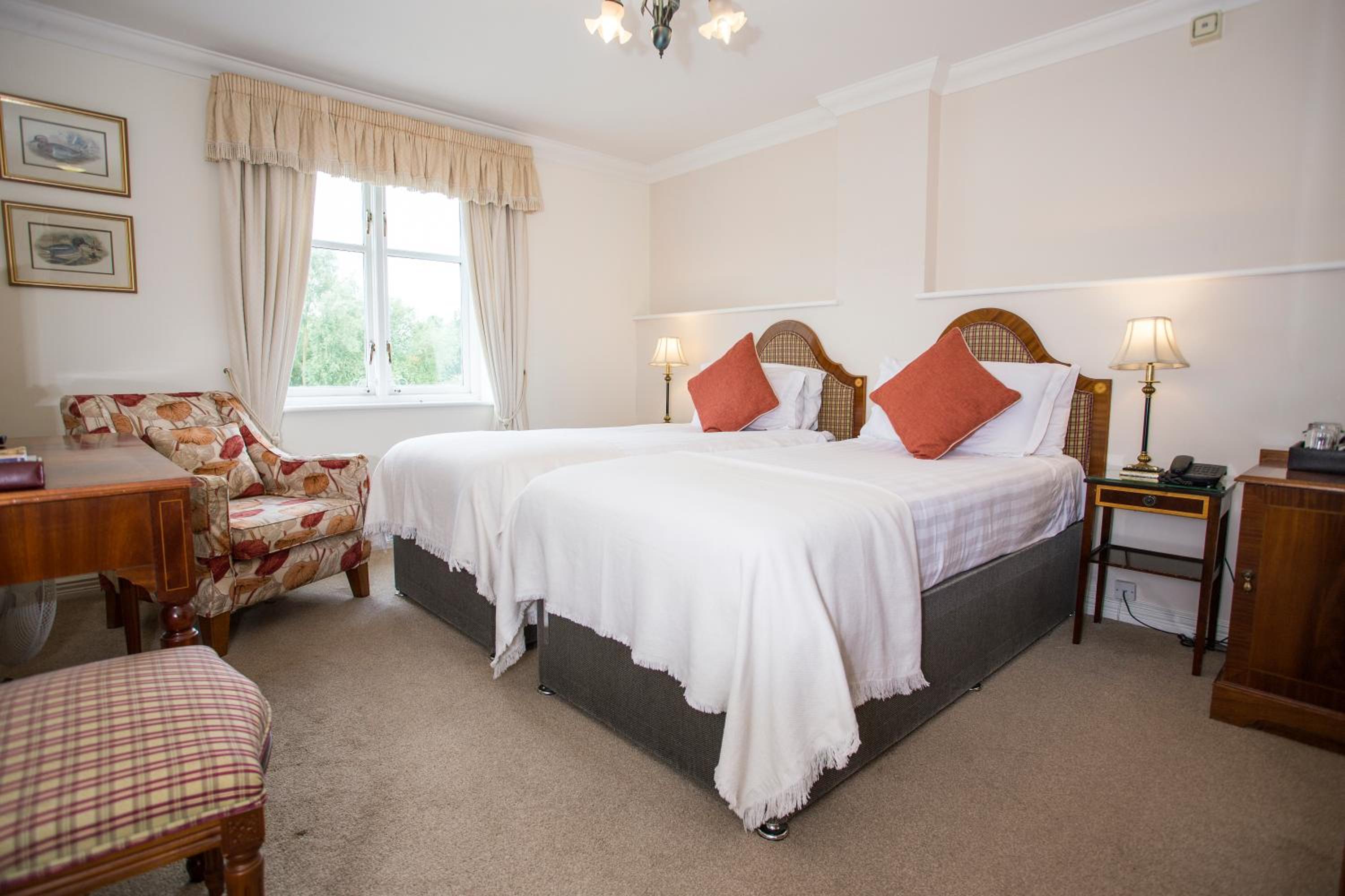 Superior Twin Room - Photo 1