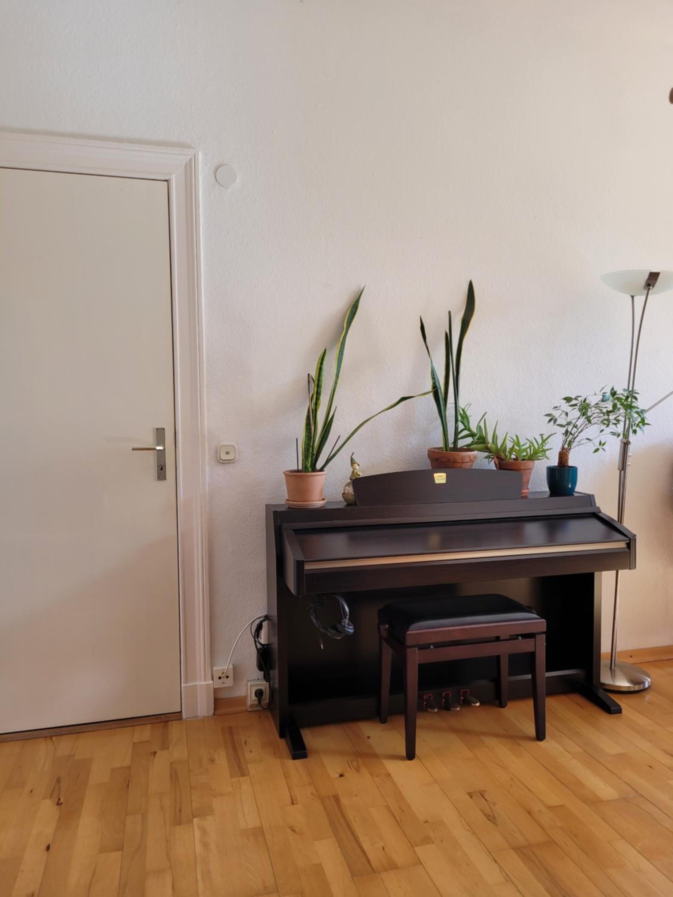 One-Bedroom Apartment photo 3