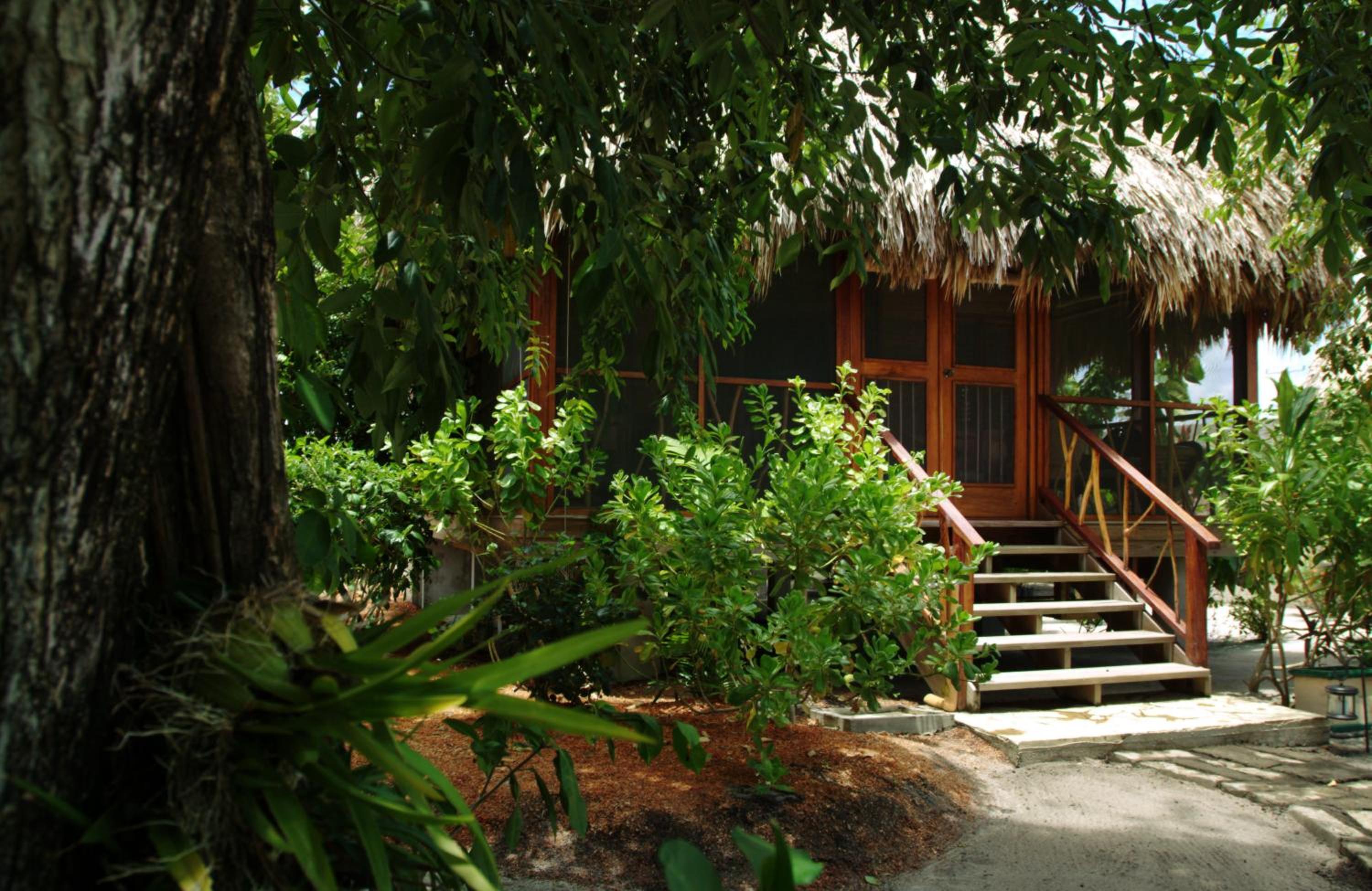 Cottage with Garden View photo 3