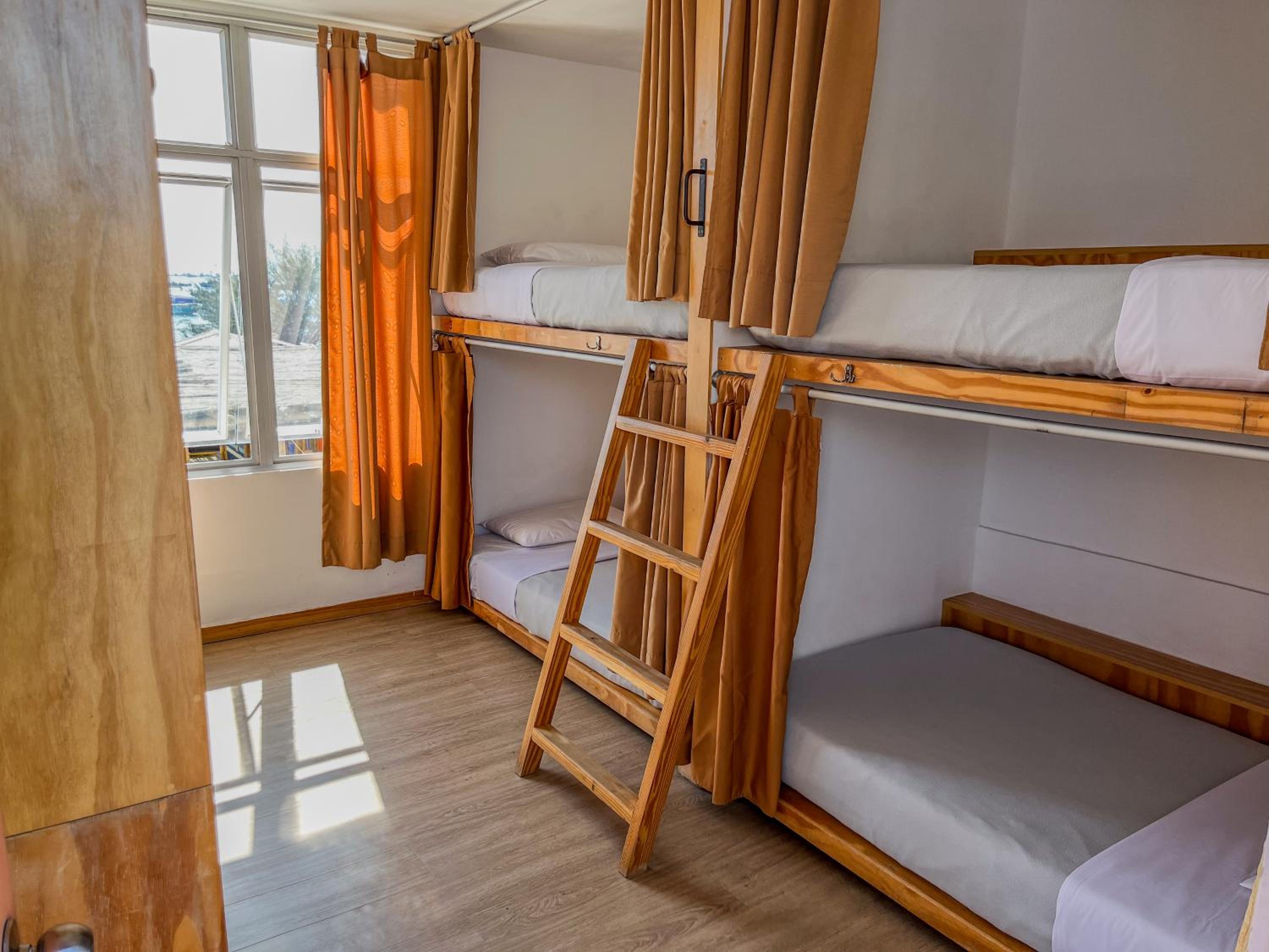 Bed in 4-Bed Mixed Dormitory Room
