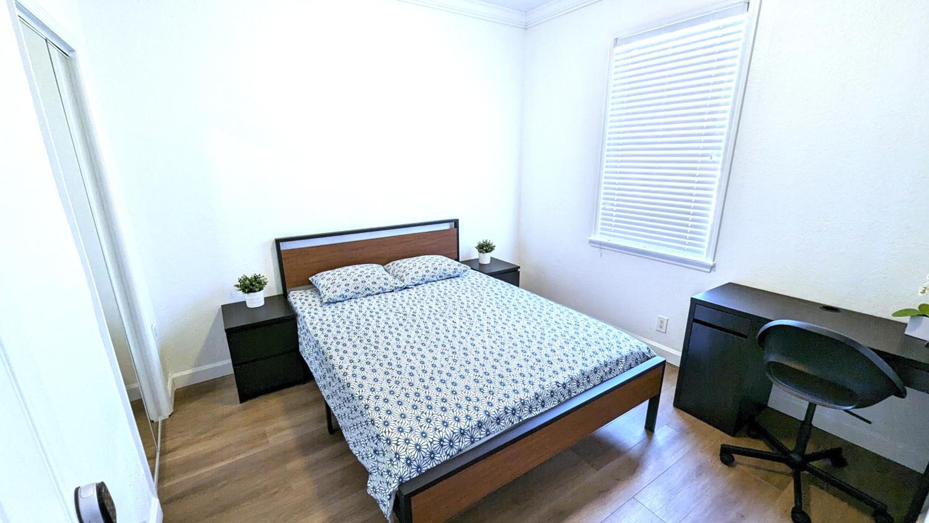 Standard Queen Room photo 3