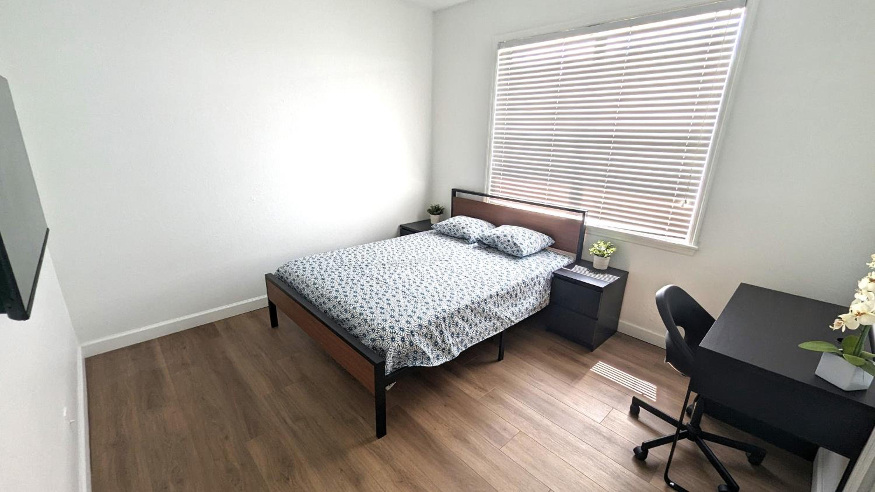Superior Queen Room photo 3