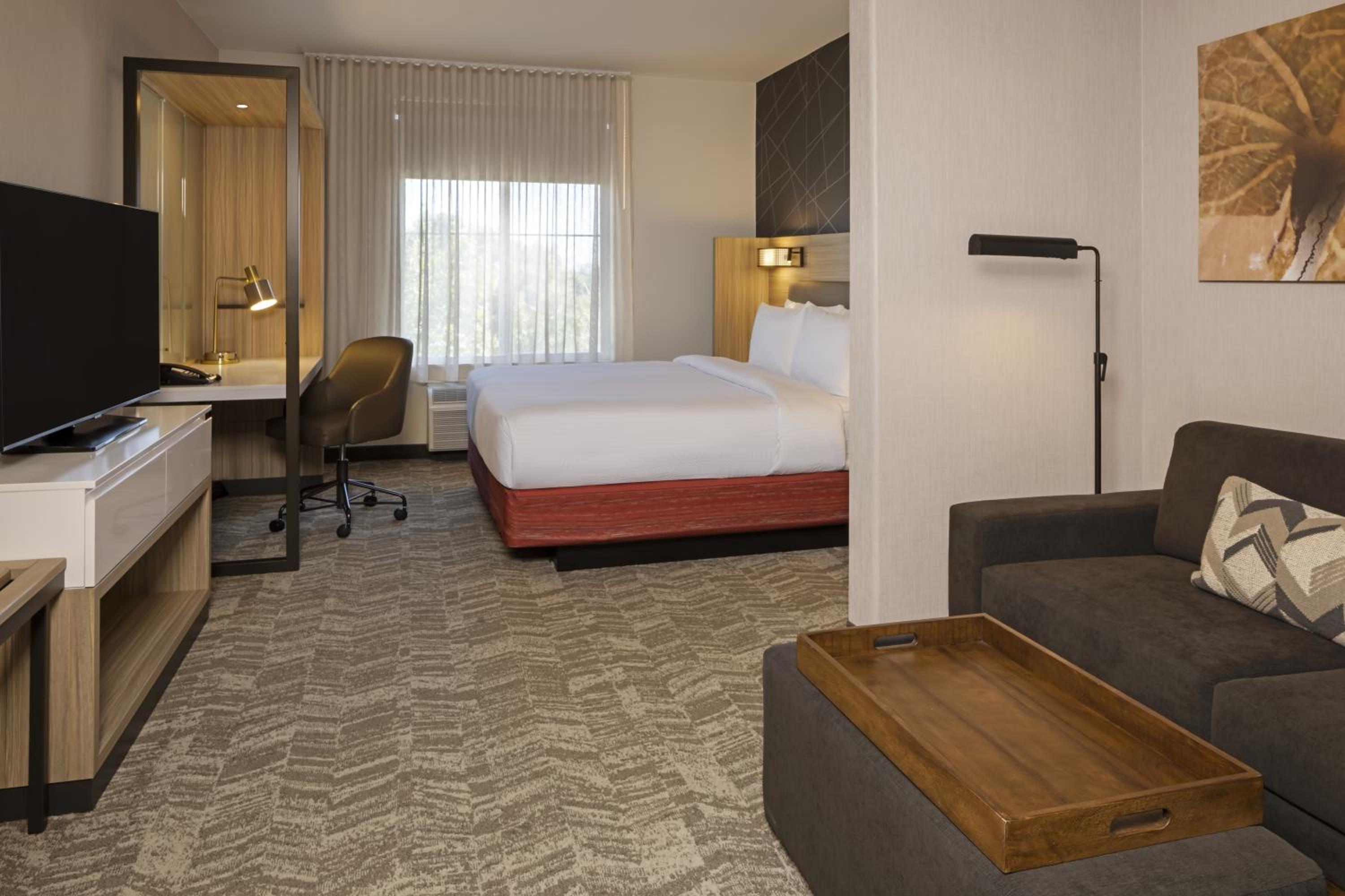 King Suite with Sofa Bed