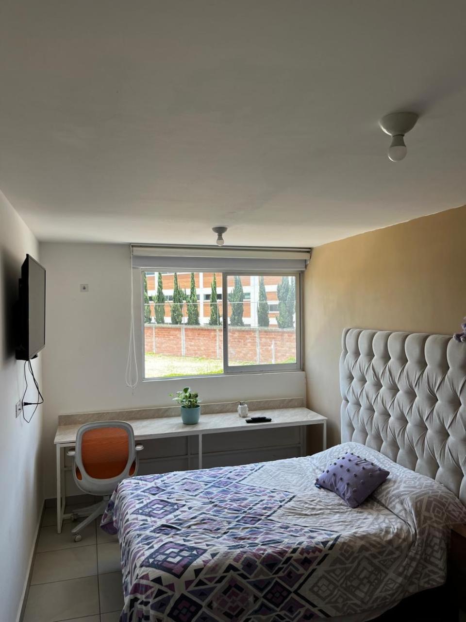 Two-Bedroom House photo 1