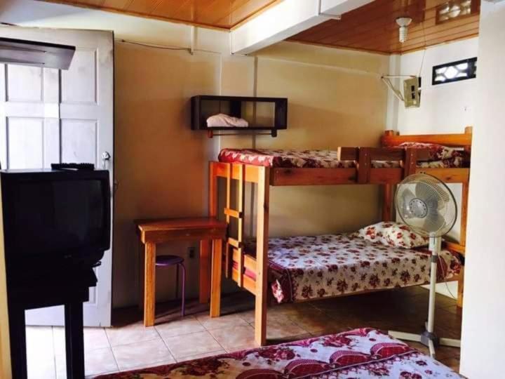 Twin Room photo 2
