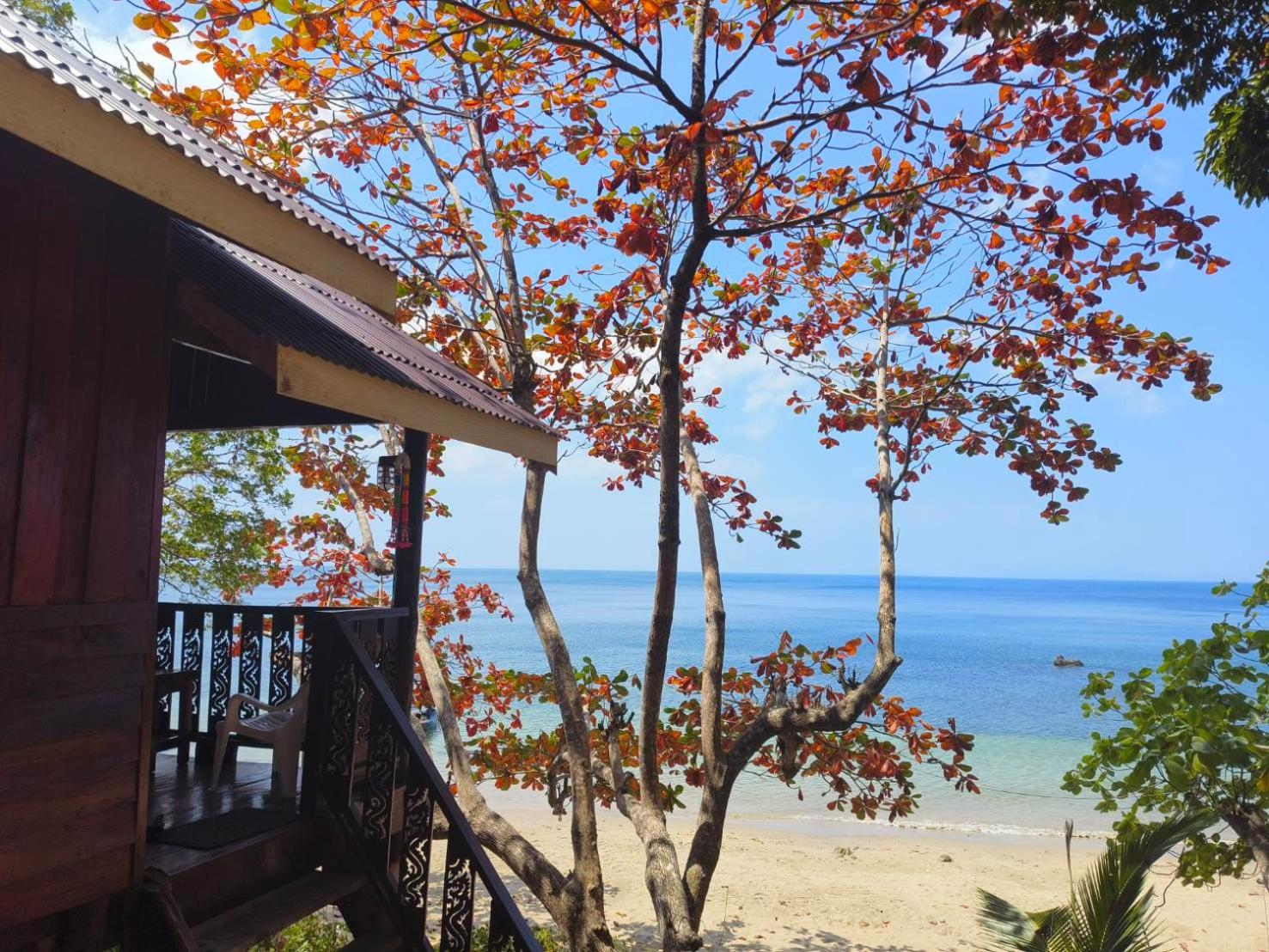 Superior Family Beach Front photo 2