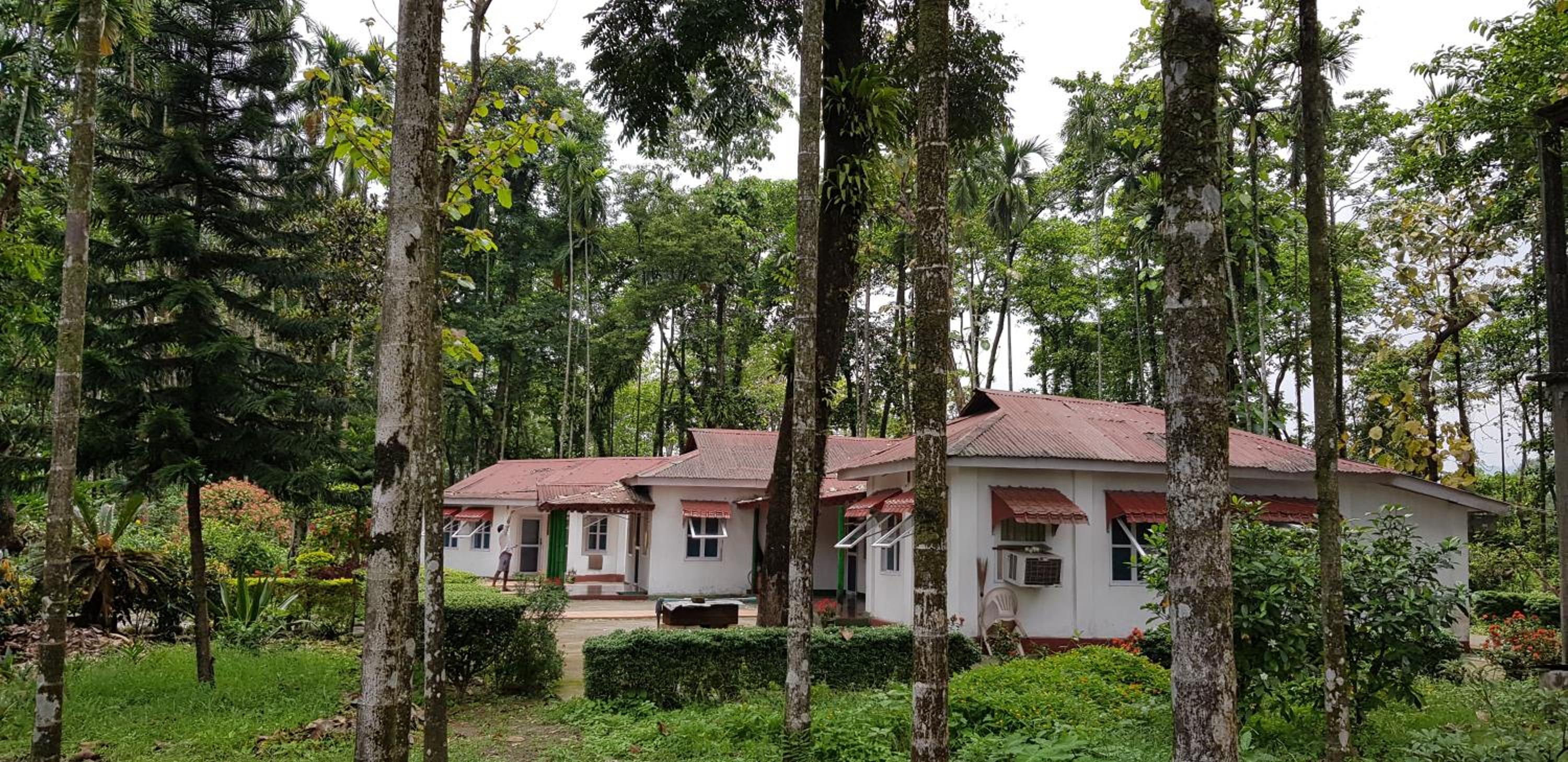 Cottage With Garden View photo 2