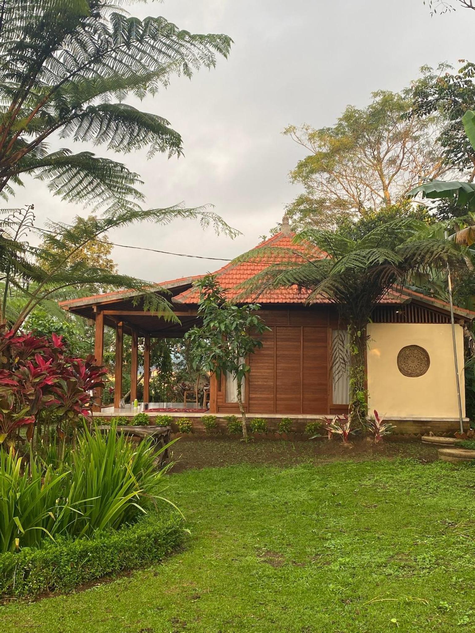Deluxe Villa photo 2