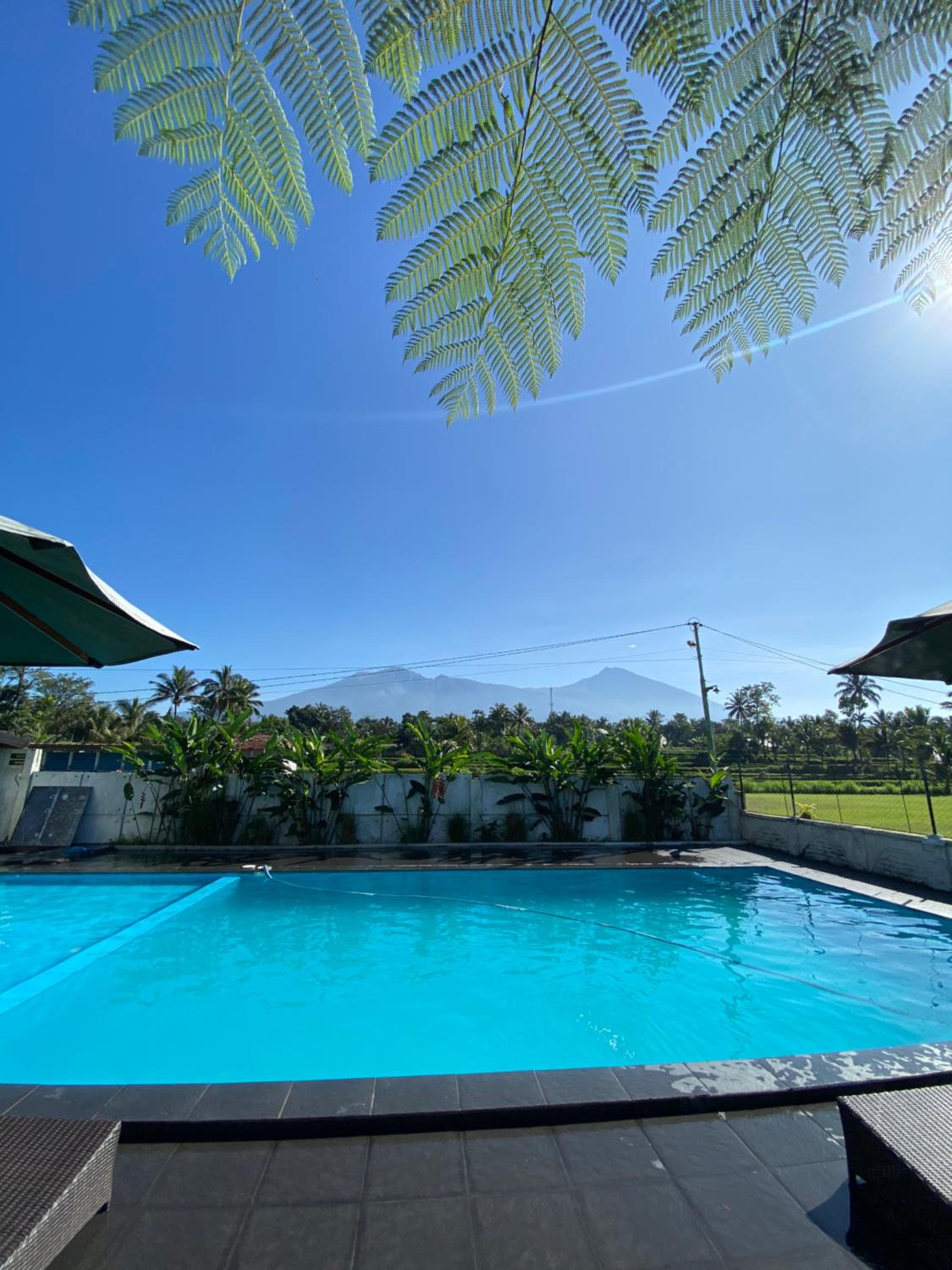 Deluxe Double or Twin Room with Mountain View - Photo 17