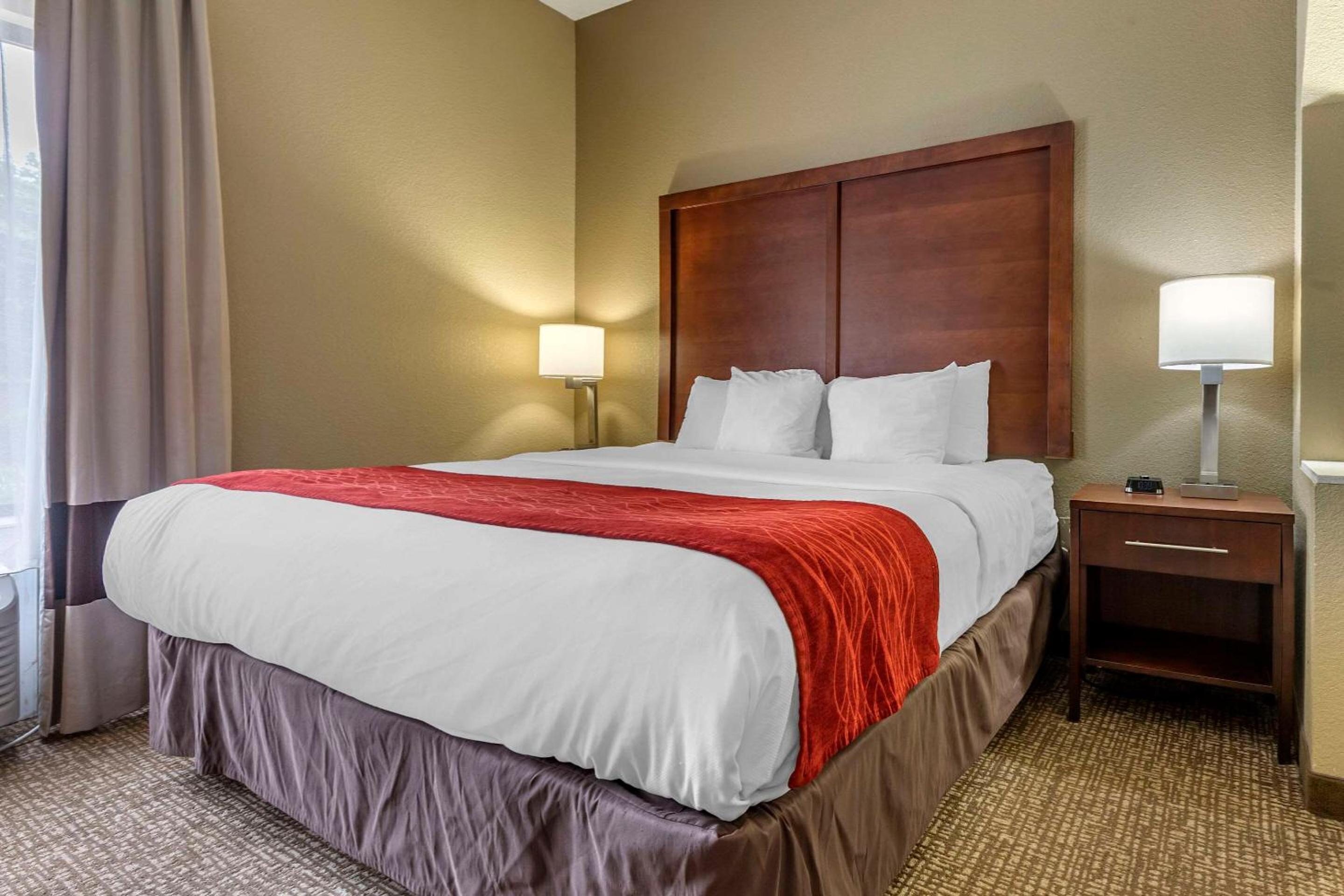 King Suite with Sofa Bed - Photo 1