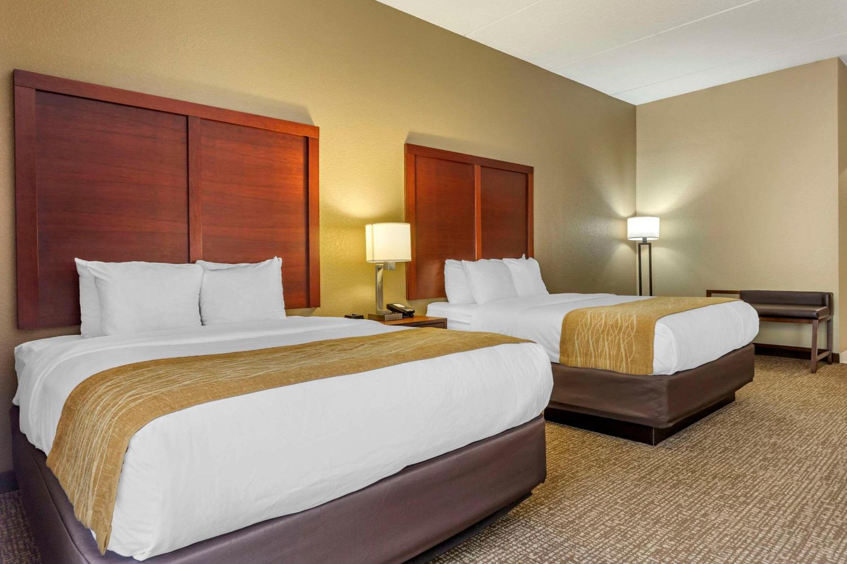 Queen Suite with Two Queen Beds and Sofa Bed - Photo 3