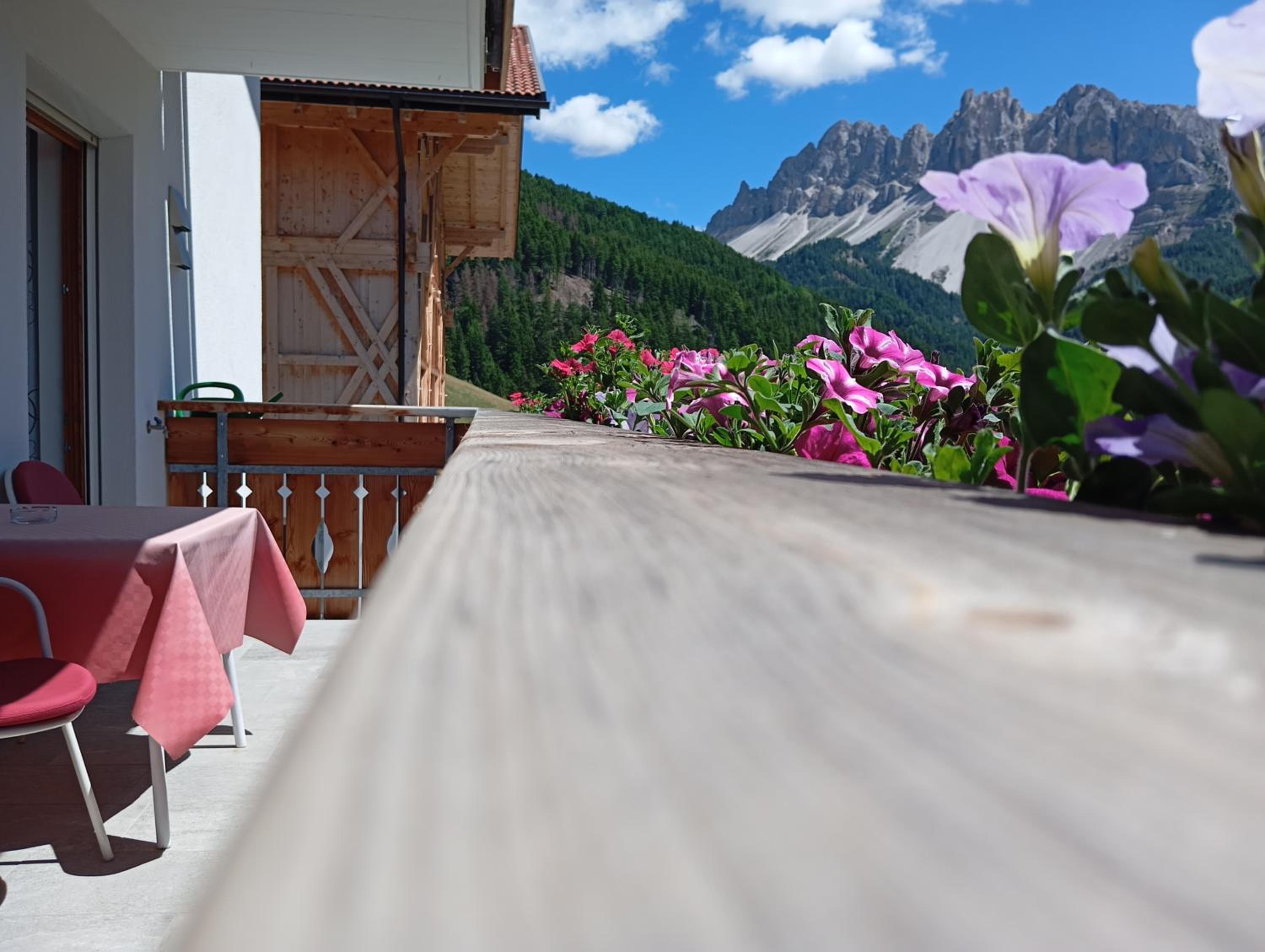 Apartment with Mountain View photo 2