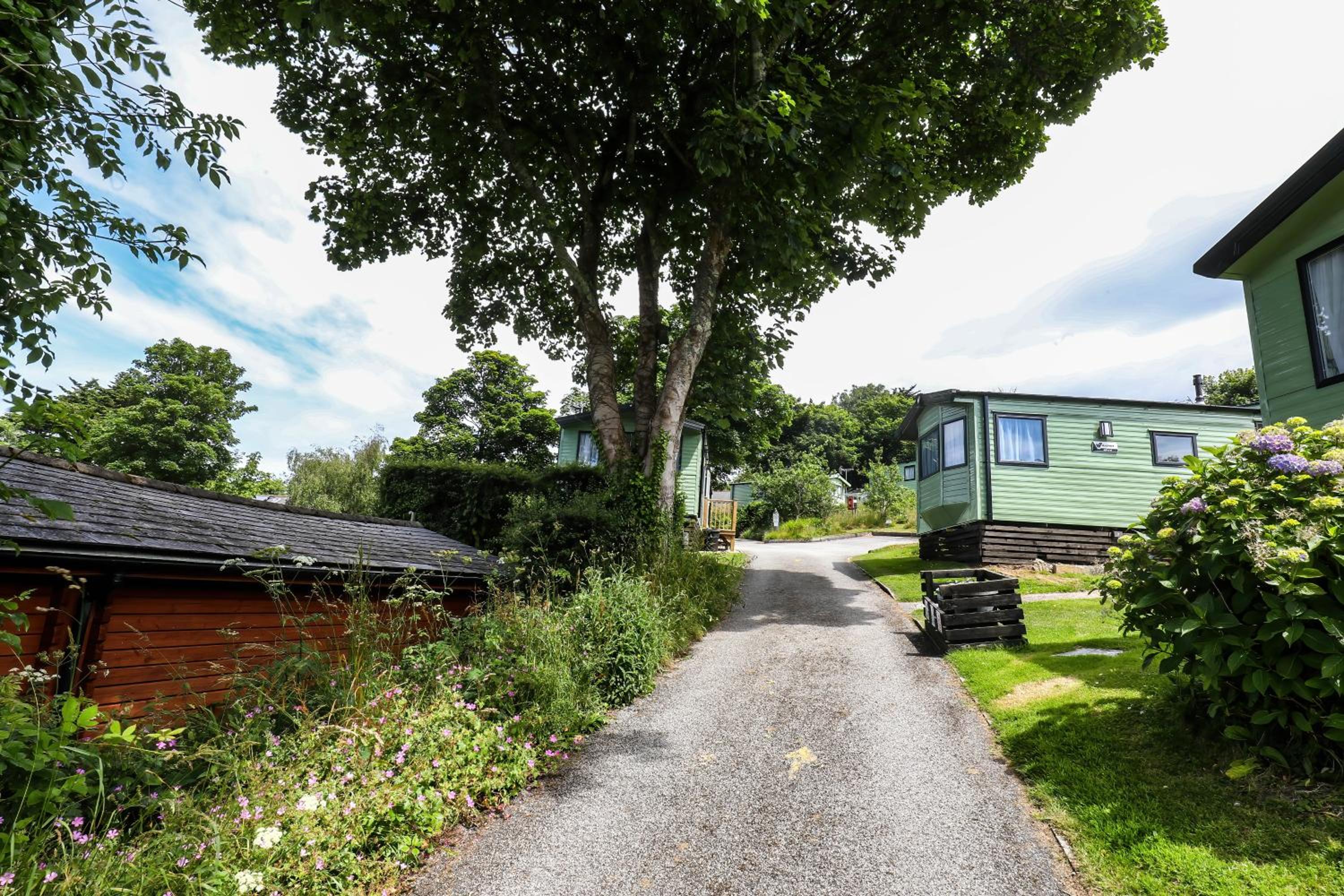 3 Bedroom Platinum Caravan photo 3