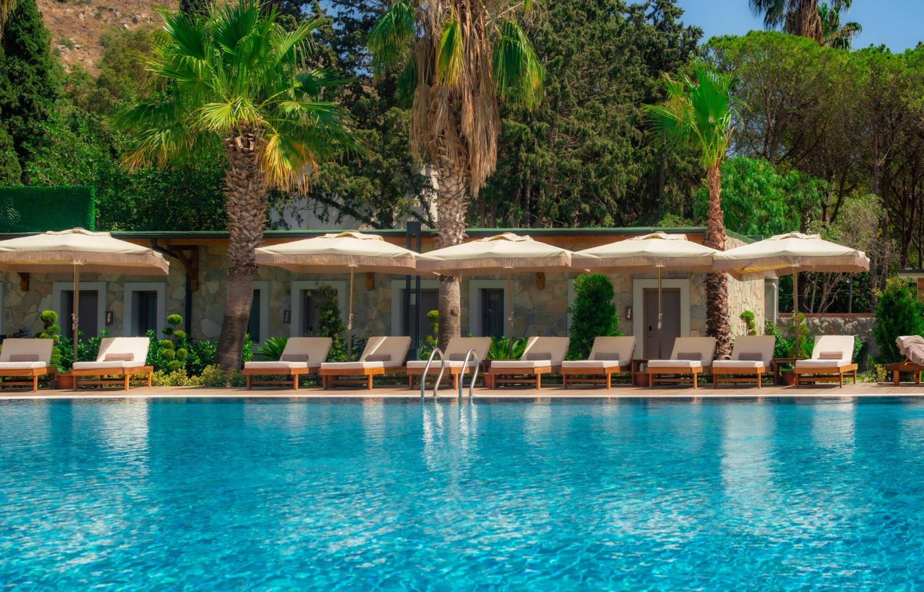 Double Room with Pool View photo 3