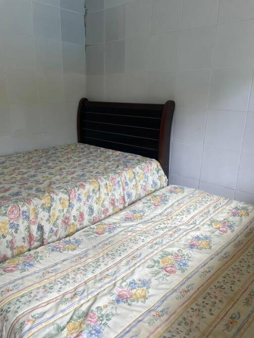 One-Bedroom House photo 3