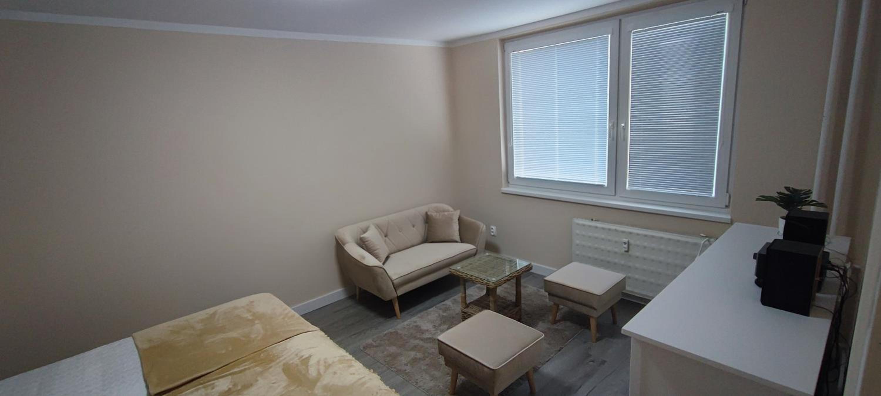 One-Bedroom Apartment photo 3