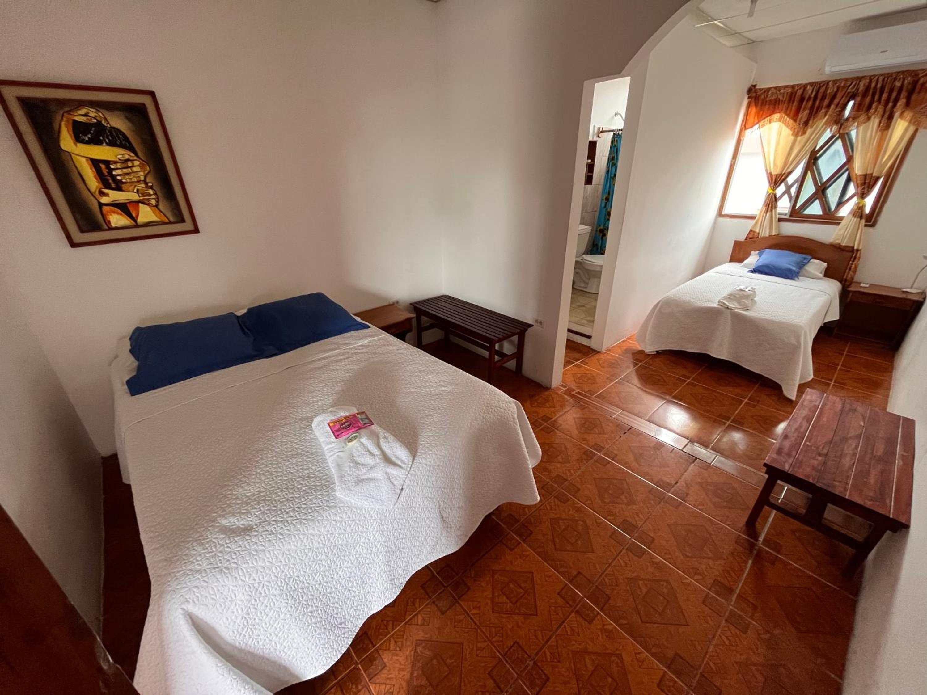 Superior Twin Room with Garden View photo 1