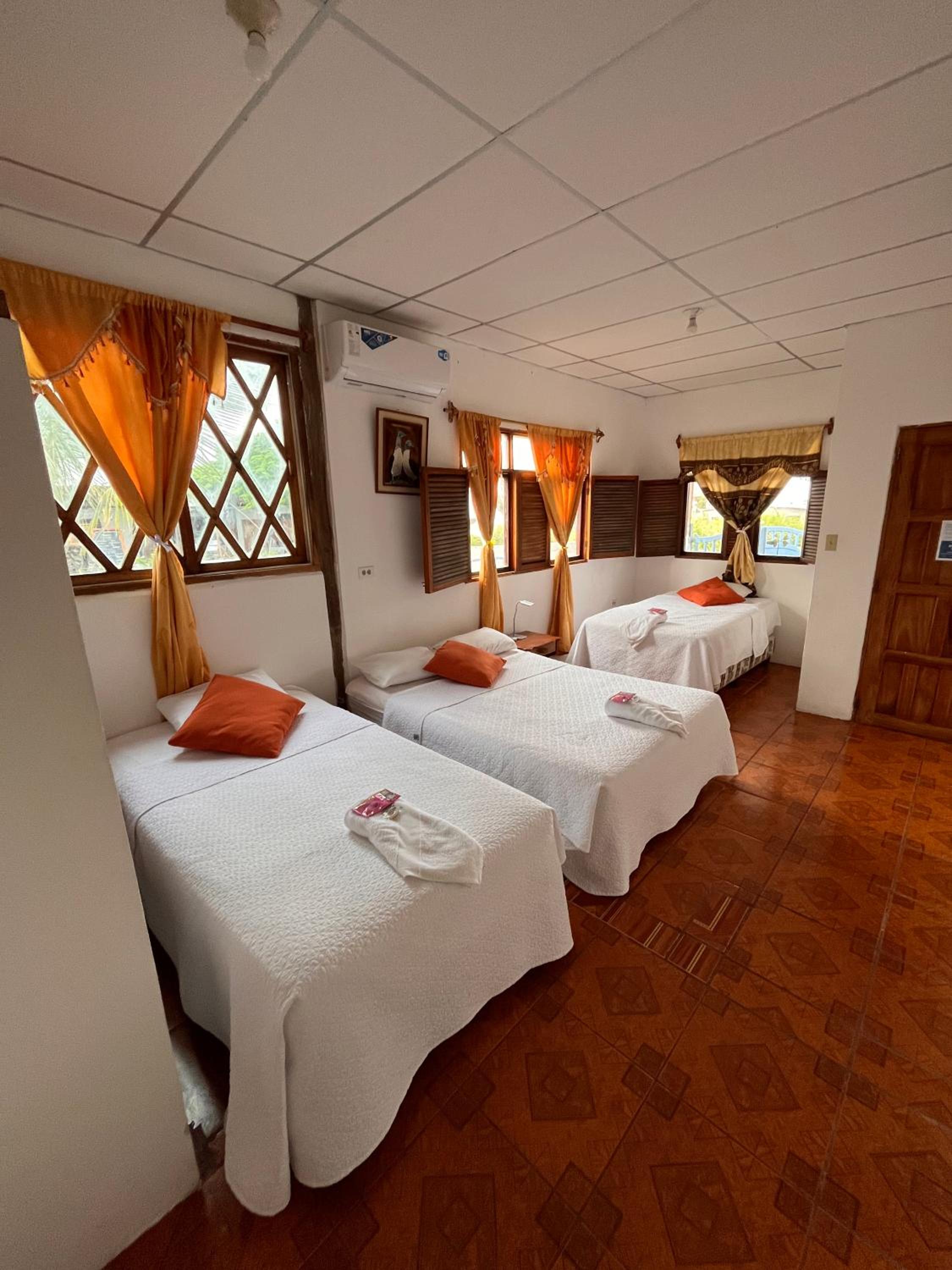 Triple Room photo 1