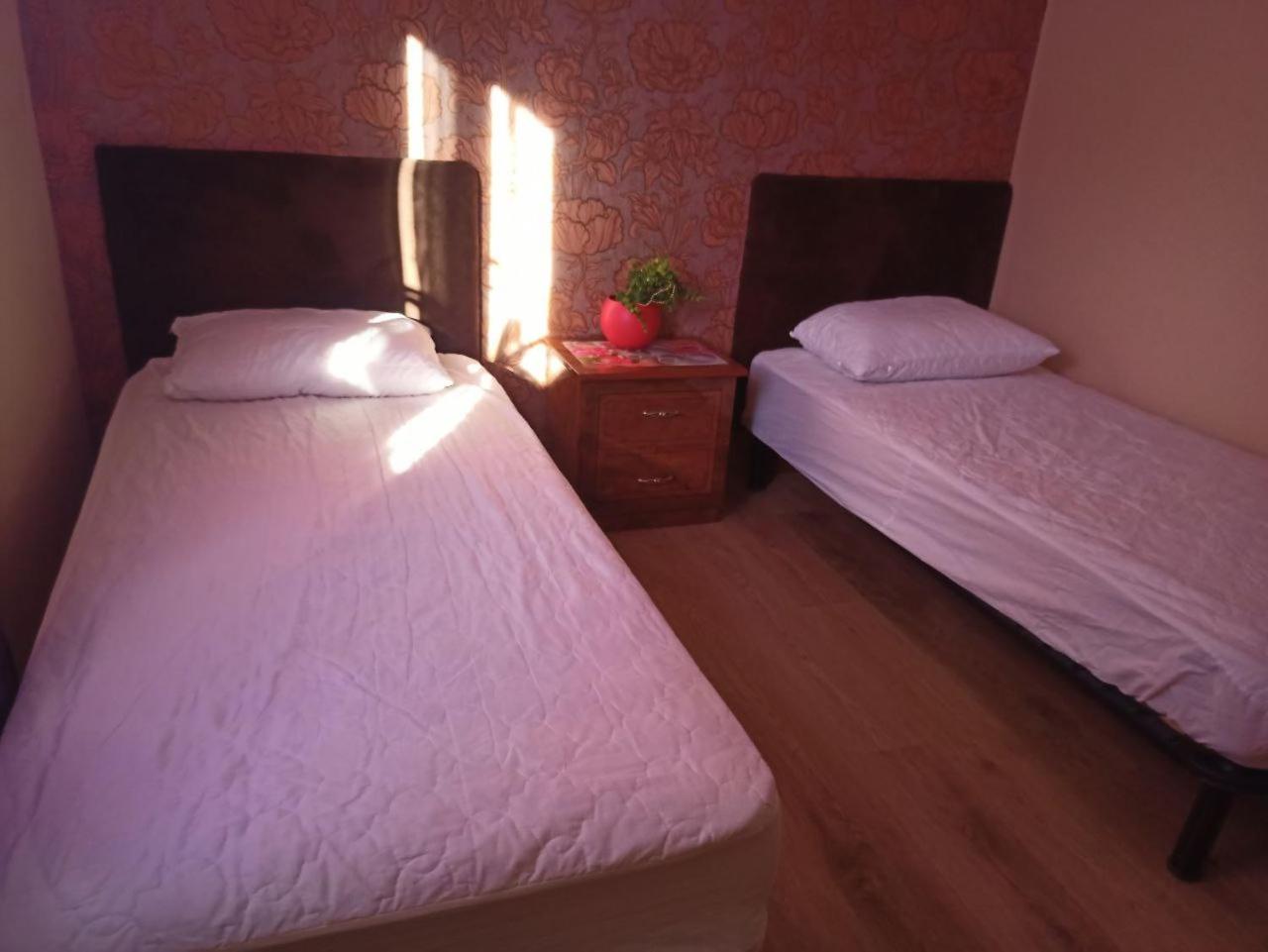 Deluxe Twin Room photo 1