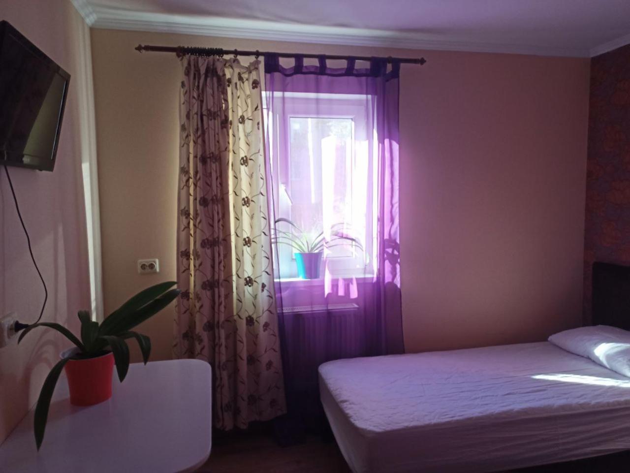 Deluxe Twin Room photo 3
