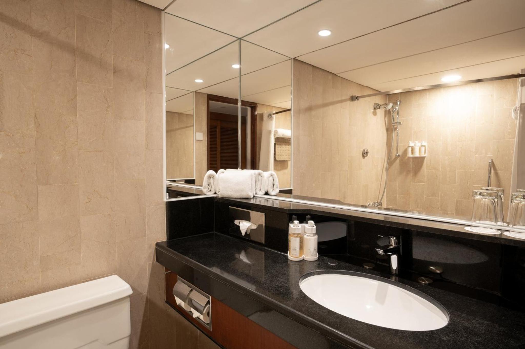 Premium King Room