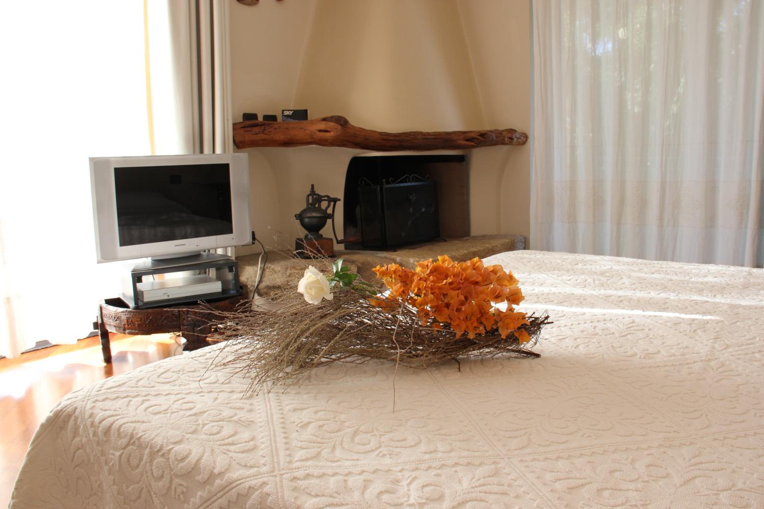 Superior Suite photo 2