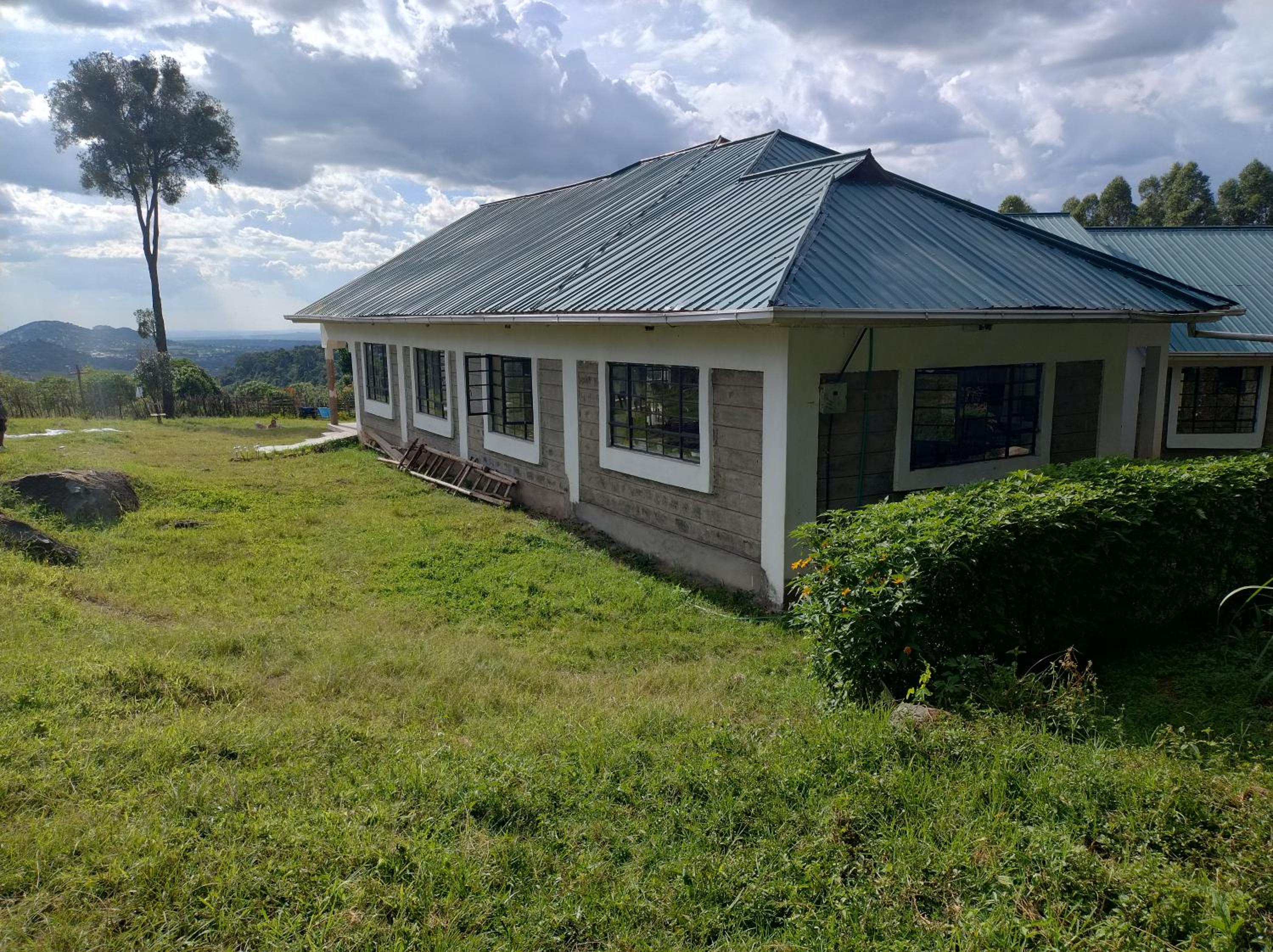 Three-Bedroom House photo 2