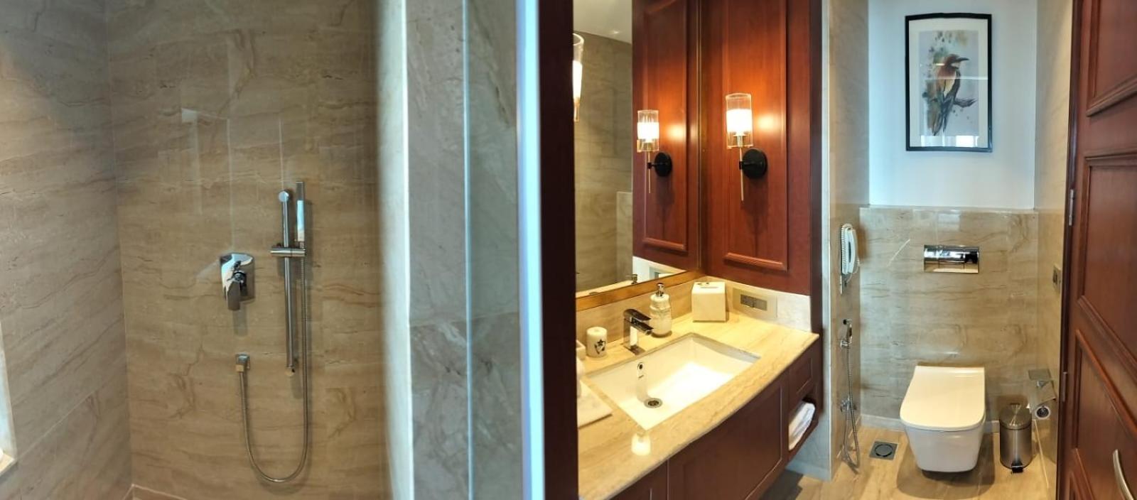 Deluxe Double or Twin Room photo 2