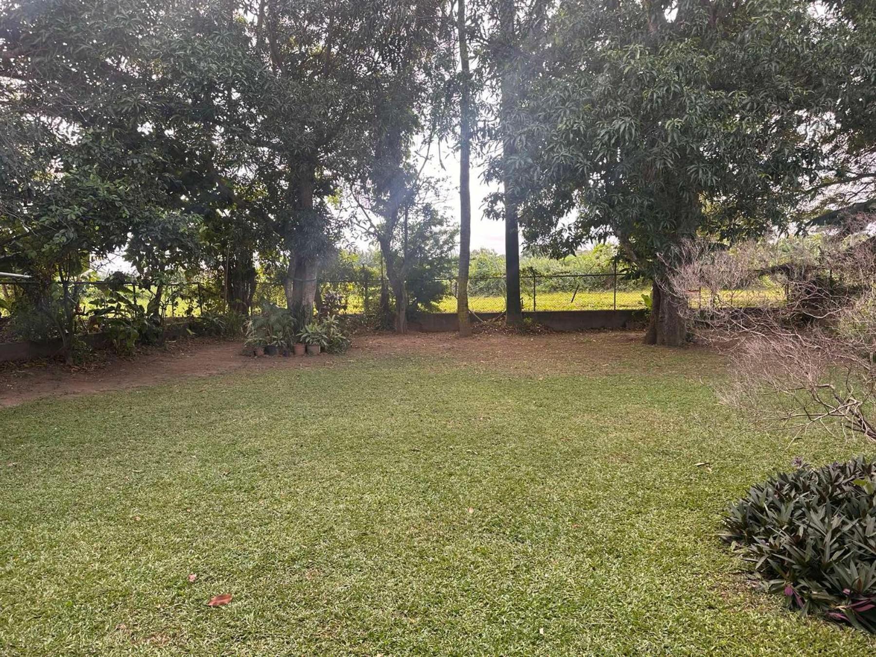 Double Room with Garden View photo 3