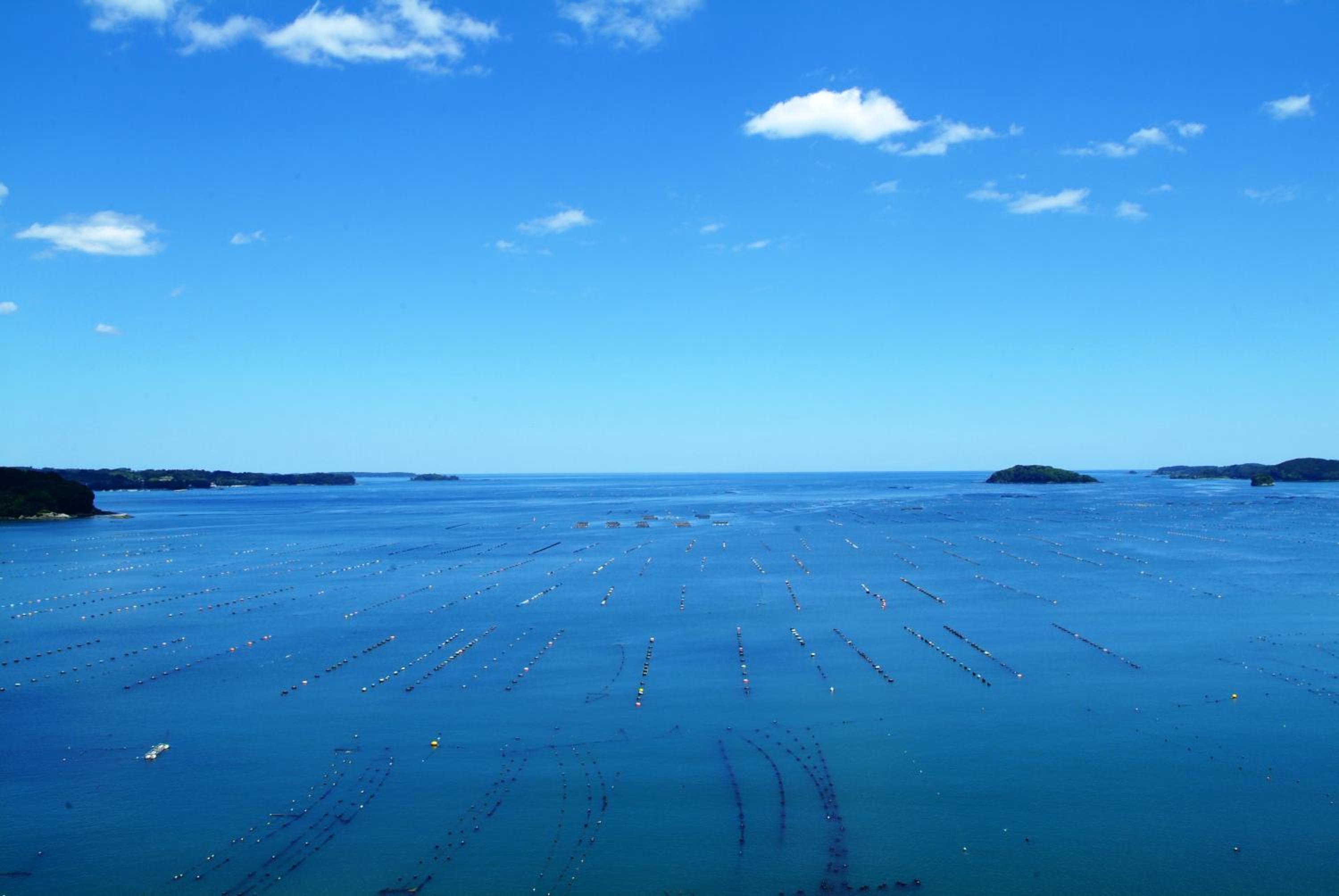 East-Building Japanese Style Room -Non Smoking - Photo 2